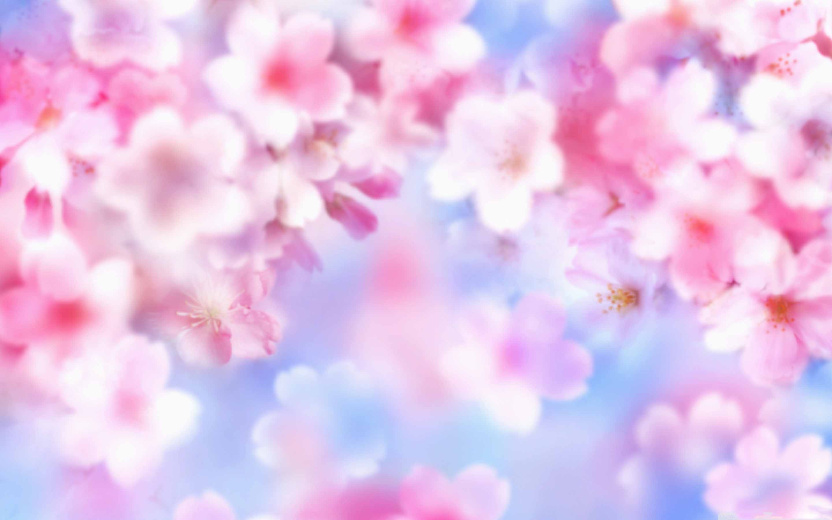 Pink Blossoms MacBook Air Wallpaper Download