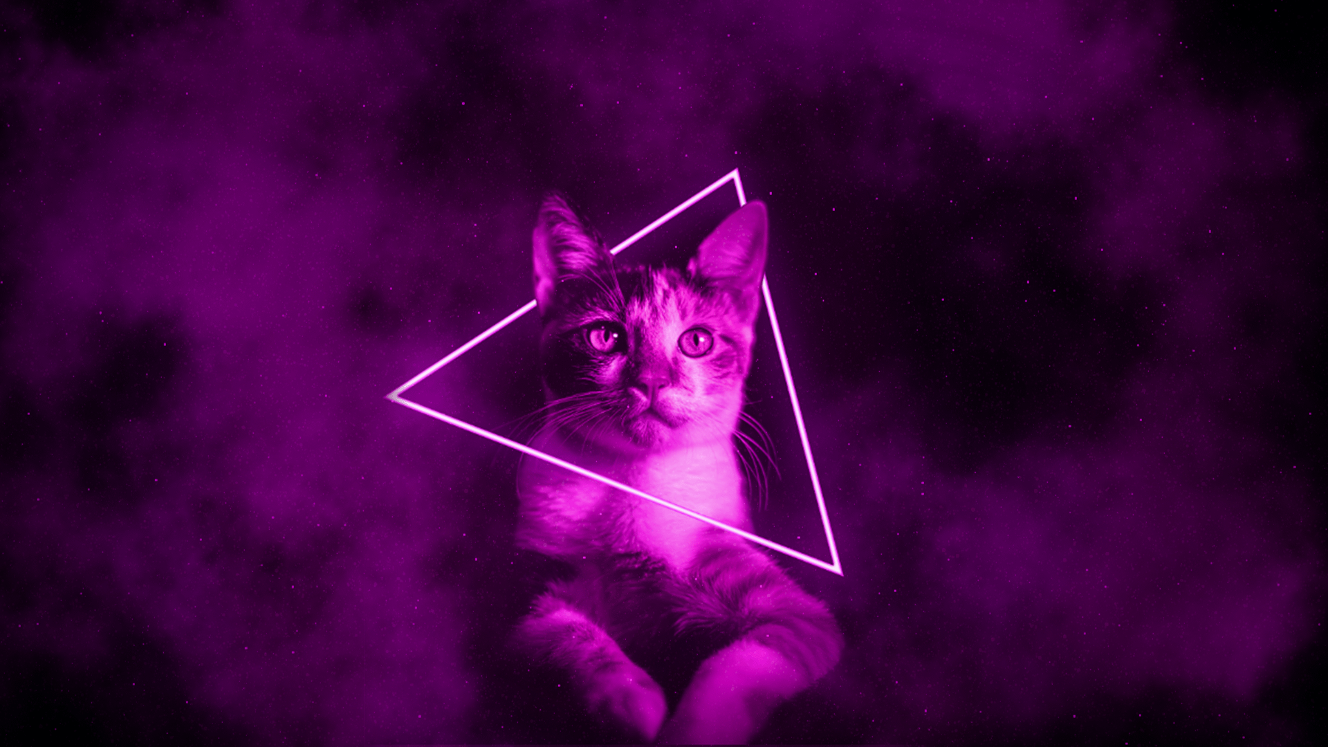 Space Cat, Made awhile back when I was really into making space themed photohops