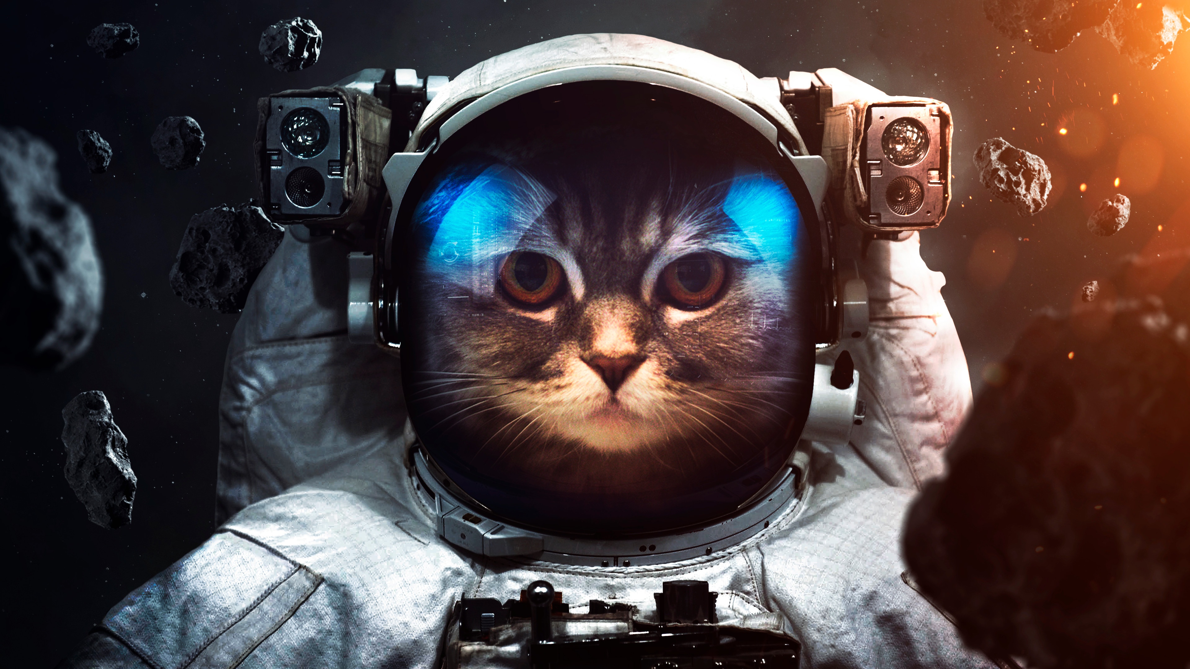 Space suit Wallpaper 4K, Cat, Asteroids, Astronaut, Stars