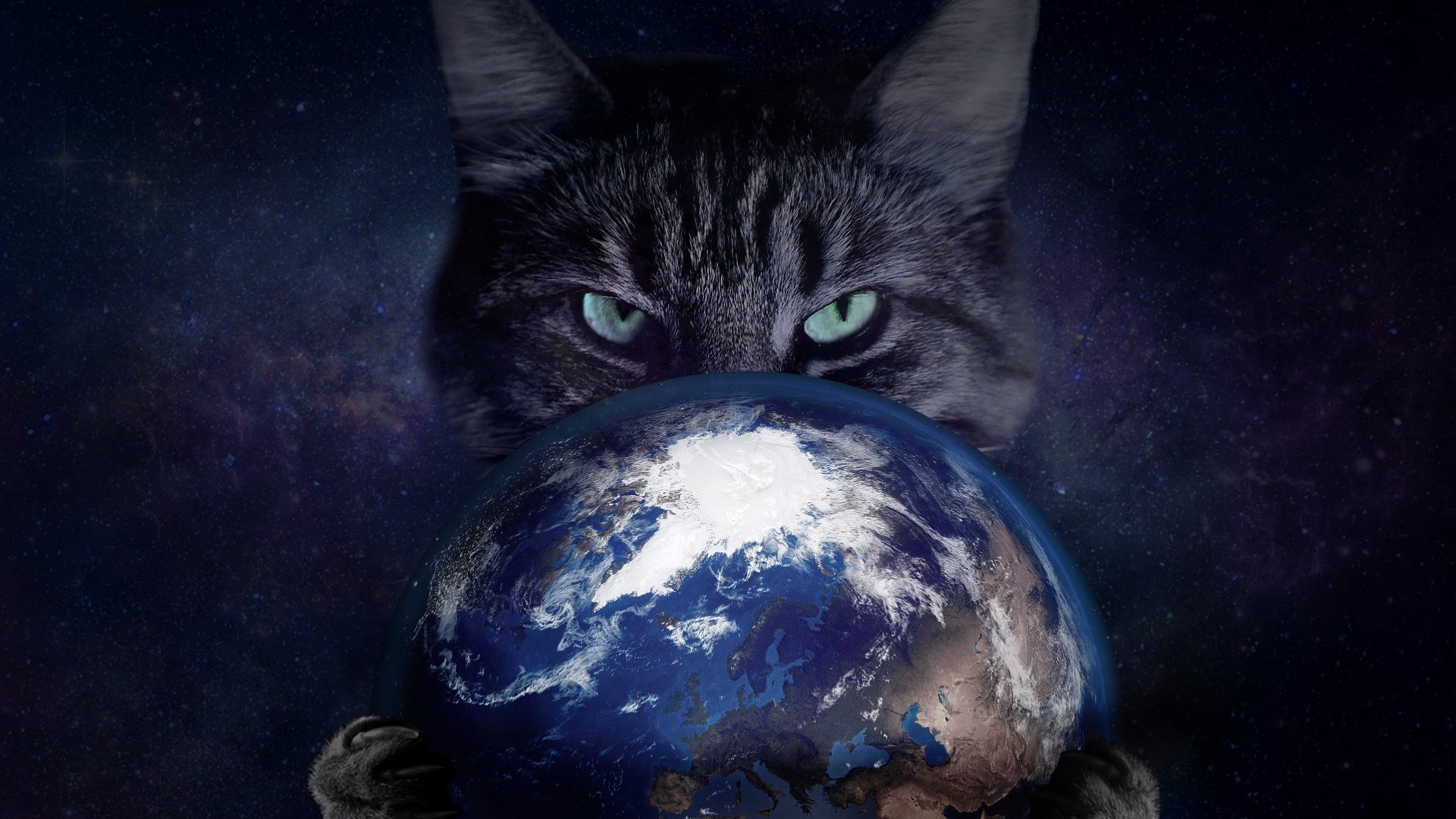 Wallpaper Cat, Space, Eyes, Claws, Earth, Enslavement for mobile and desktop, section кошки, resolution 1920x1080
