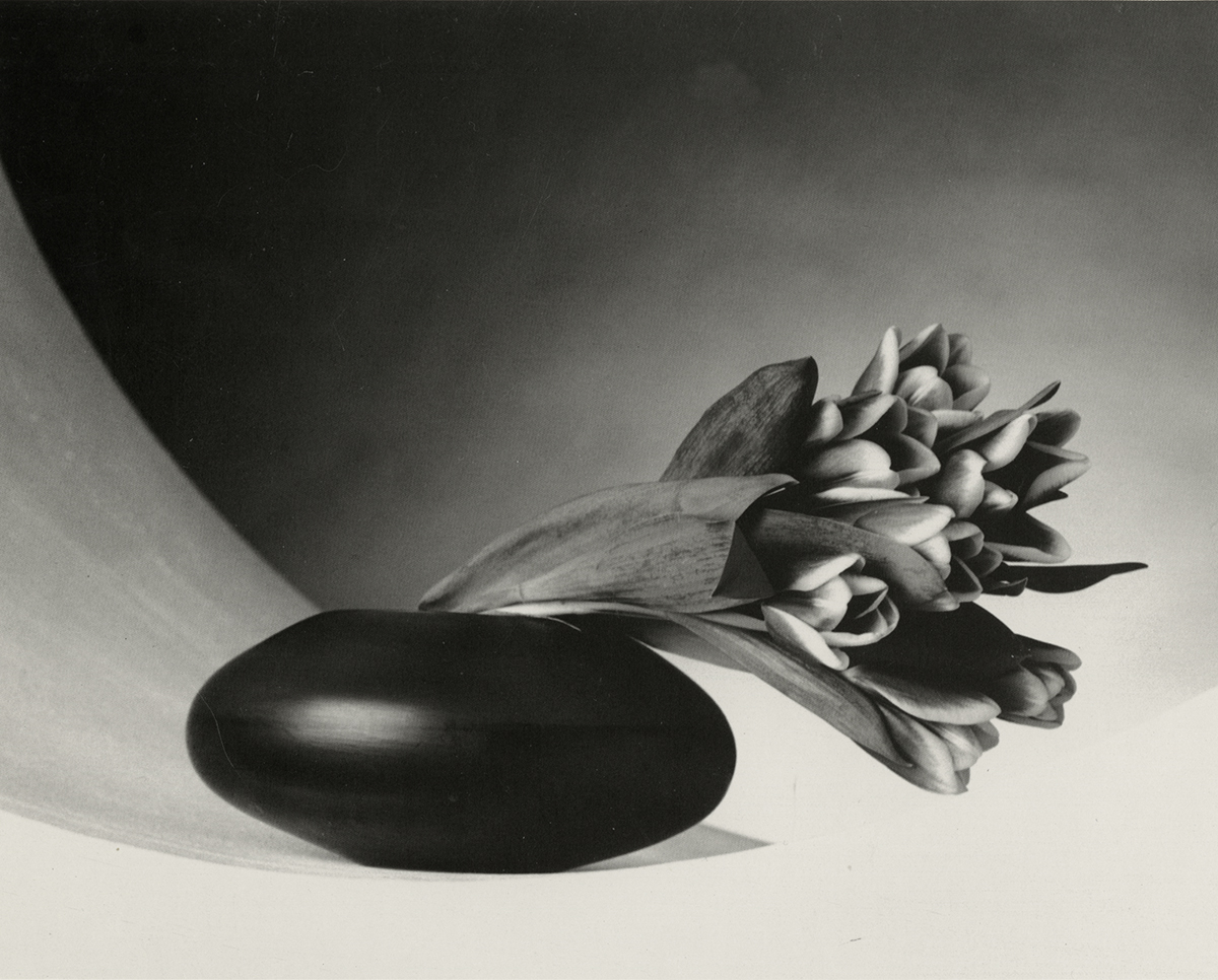 Robert Mapplethorpe: Platinum Prints