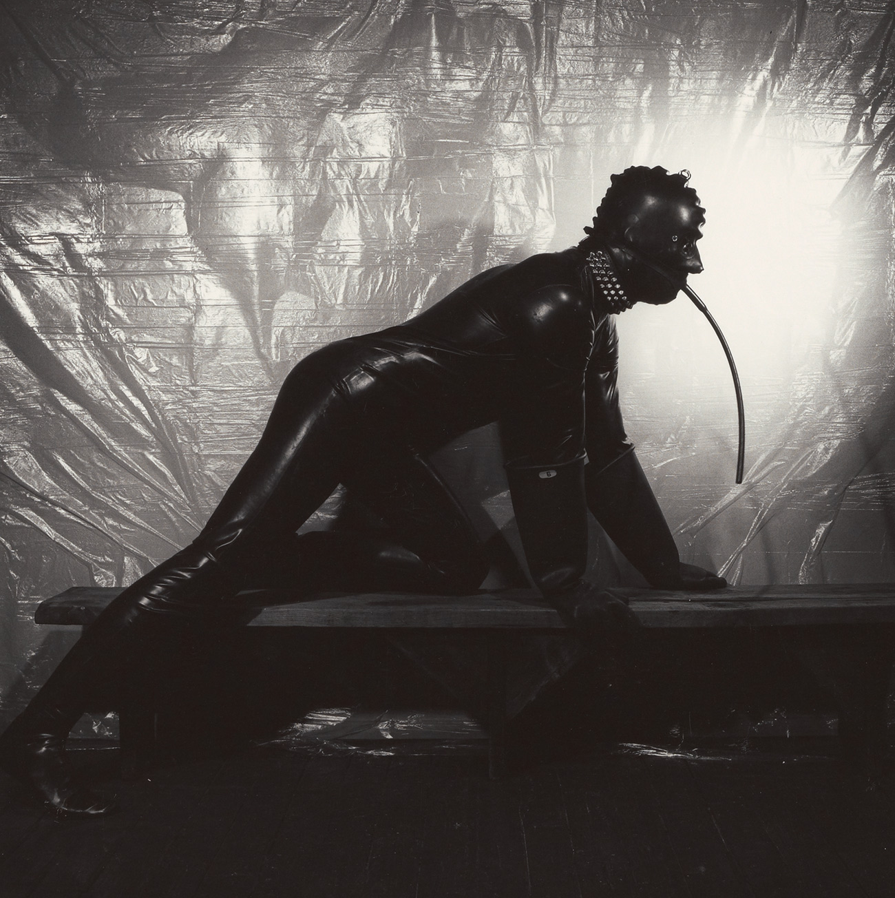I Defended Mapplethorpe in the Trial that Drew the Line between Art and Obscenity