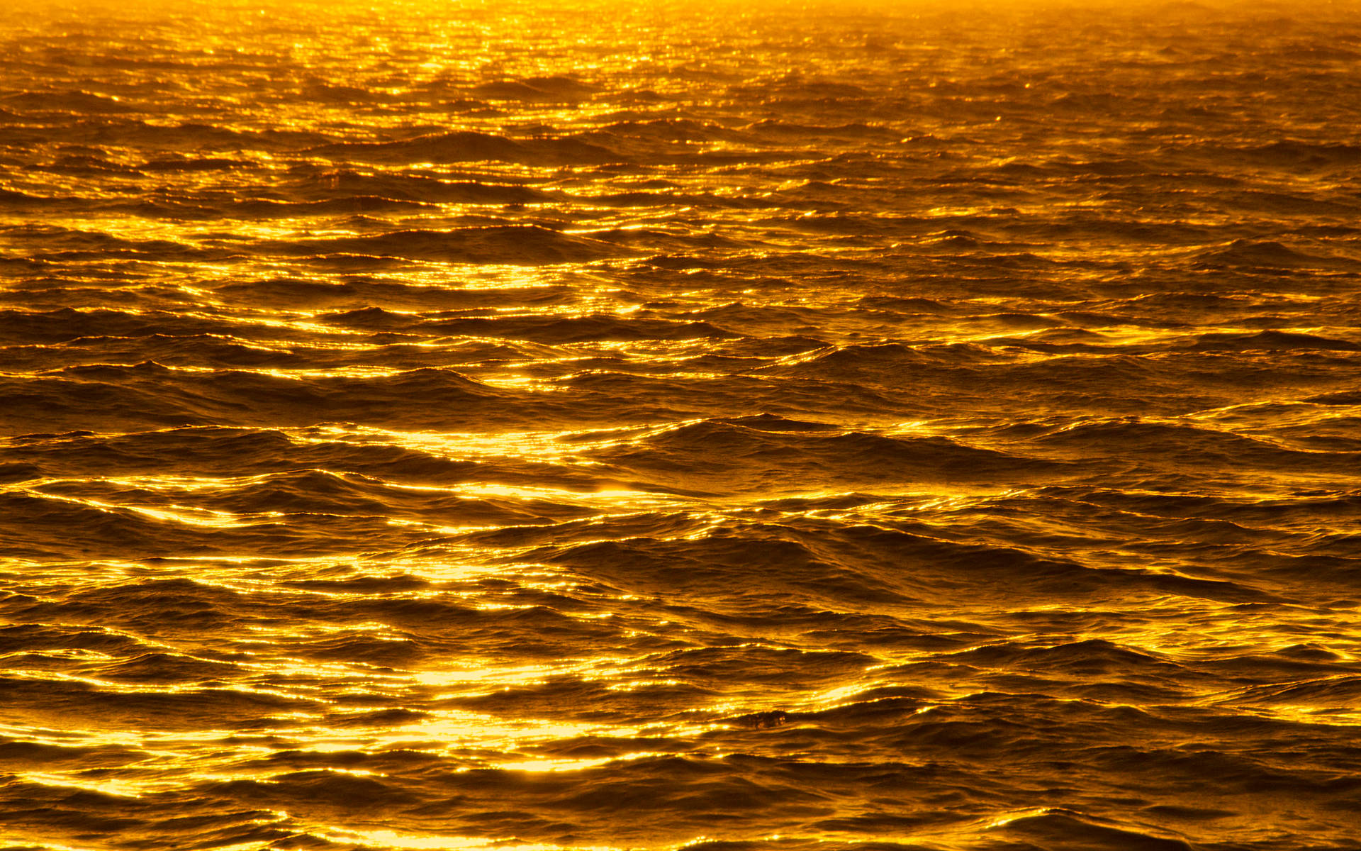 Download Golden waves shimmering in the sunshine Wallpaper