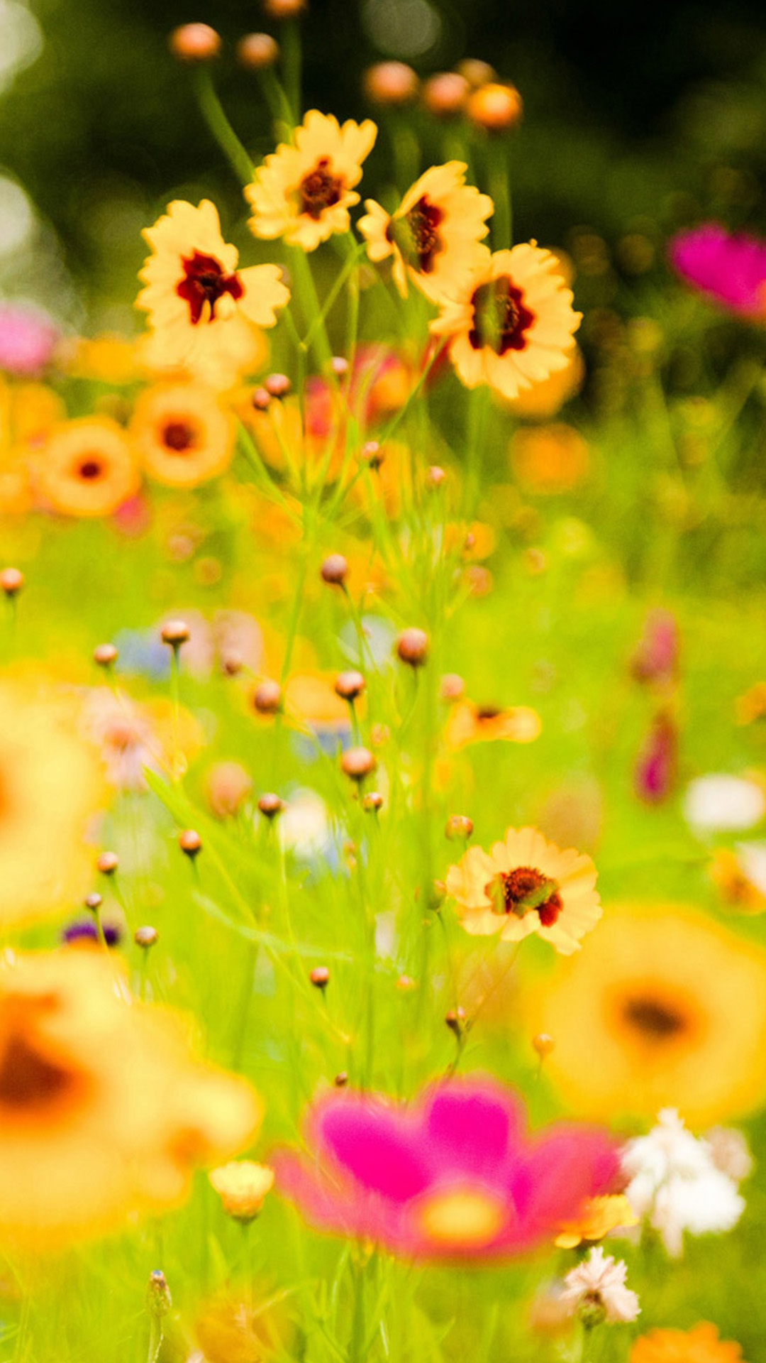 Galaxy S4 Wallpaper HD, Samsung Galaxy S4 Wallpaper, Galaxy