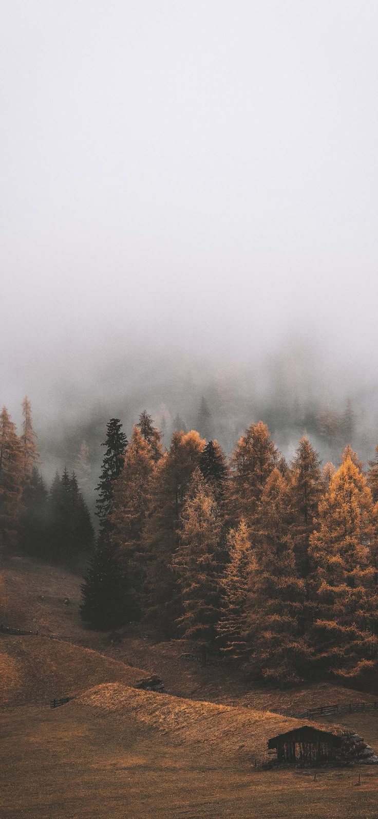 Fall Wallpaper for iPhone Download Best Autumn Wallpaper
