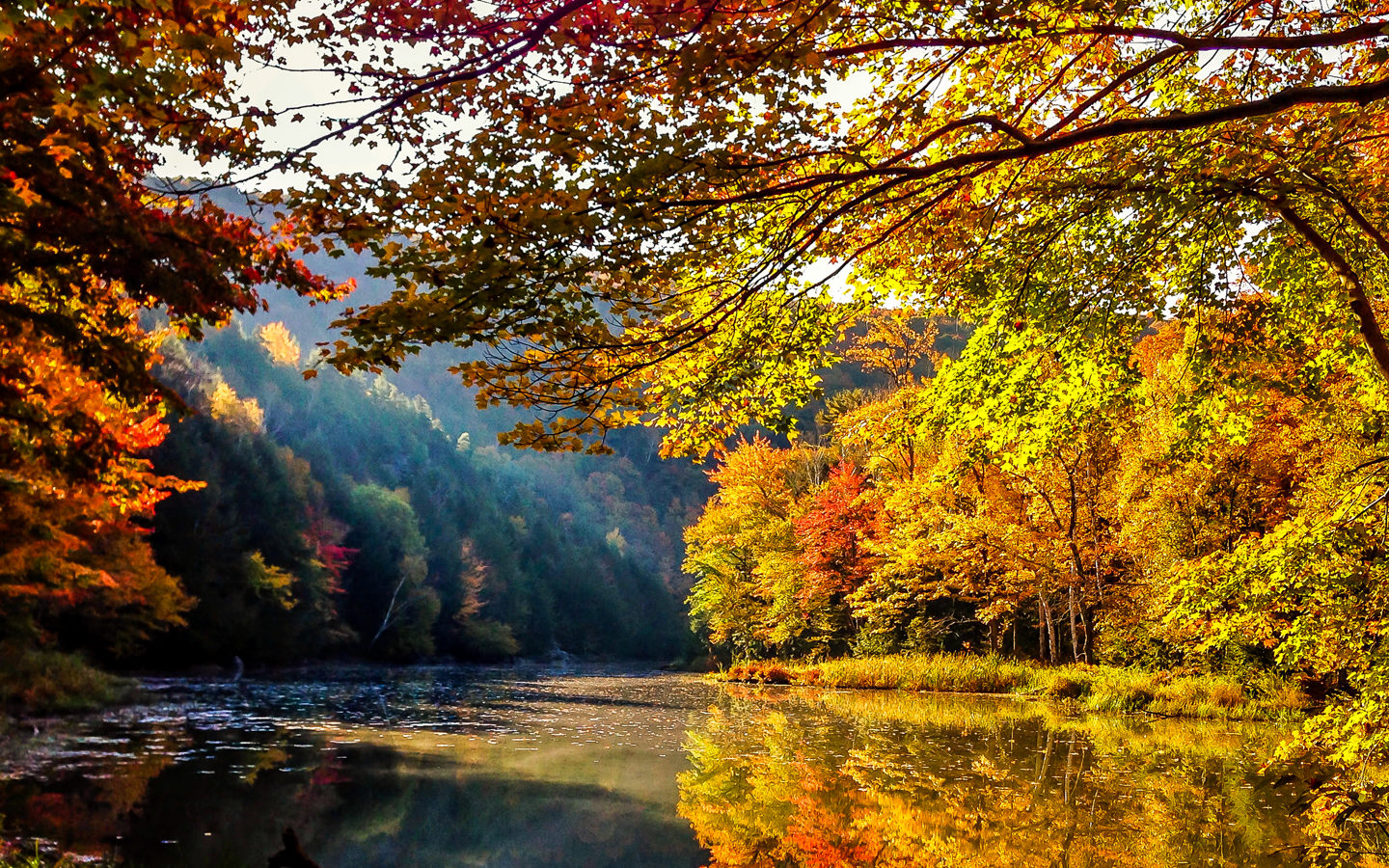 Fall Foliage Sightseeing Locations. Avocado Green® Magazine