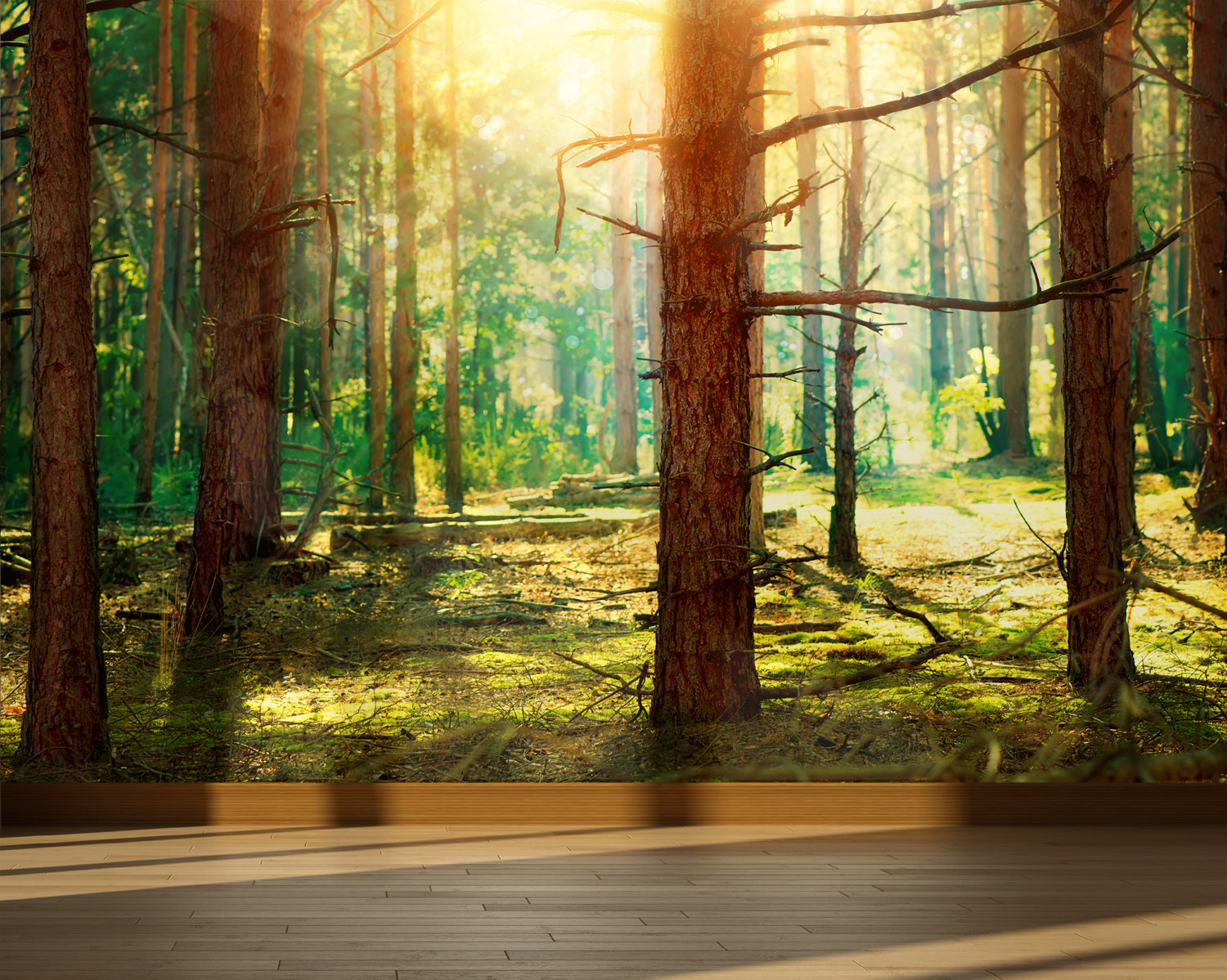 Wall Mural Pine forest, Peel and Stick Fabric Wallpaper for Interior H