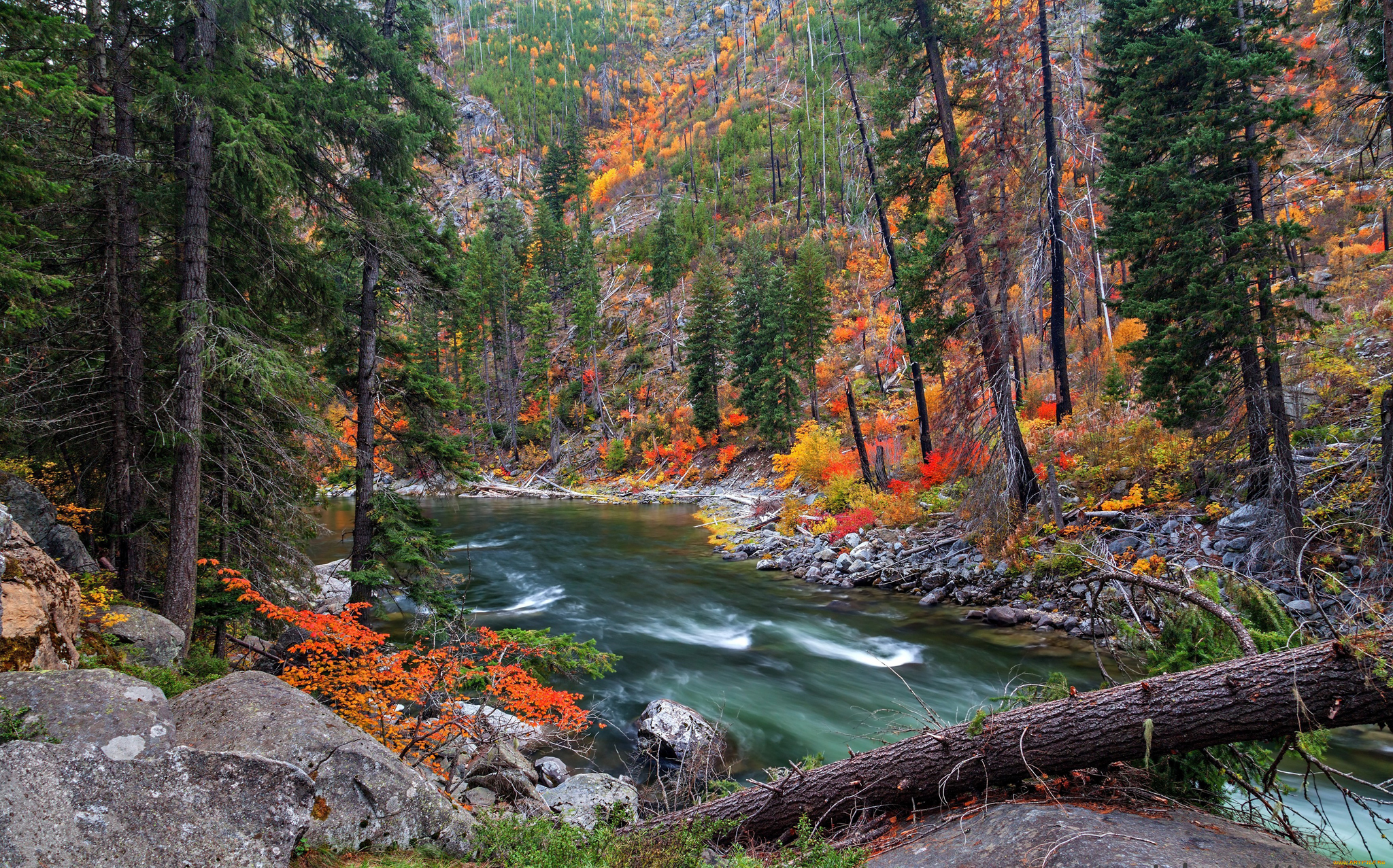 Wallpaper autumn, forest, trees, river, stones, slope for mobile and desktop, section природа, resolution 2048x1277