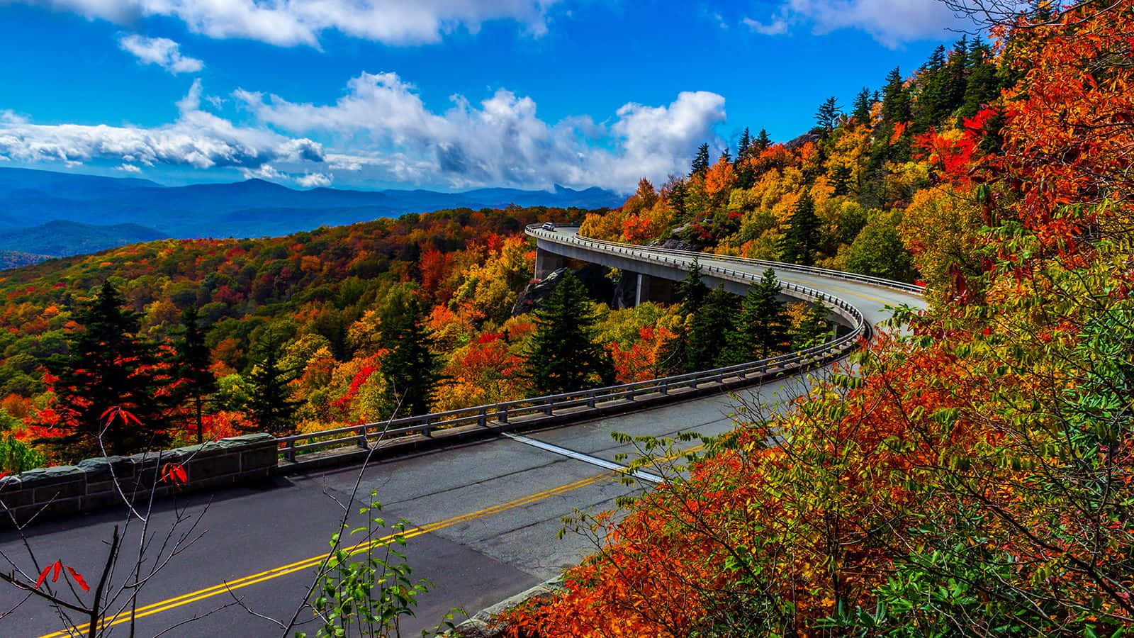 Fall Road Wallpaper