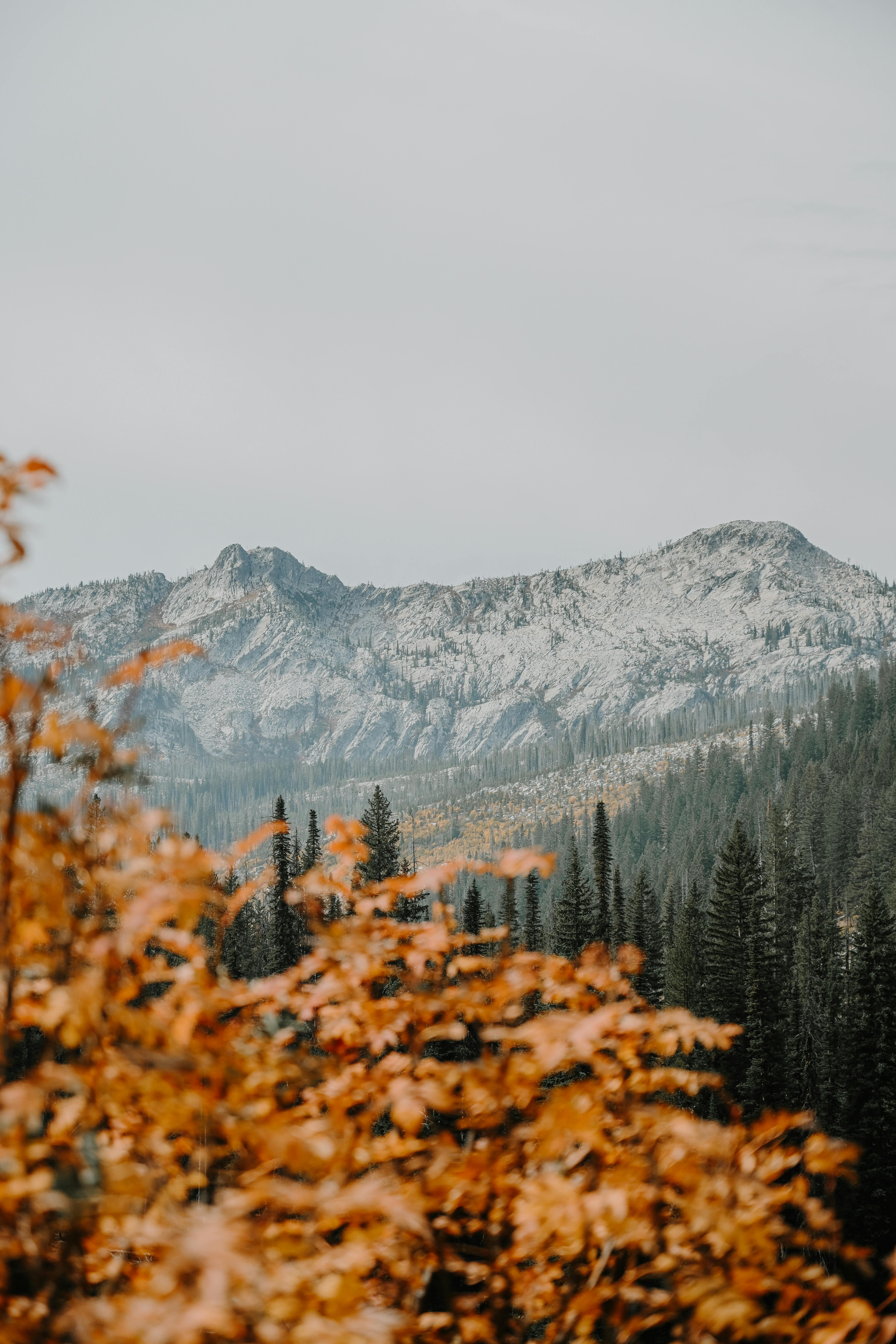Scenic Autumn Mountain Landscape · Free