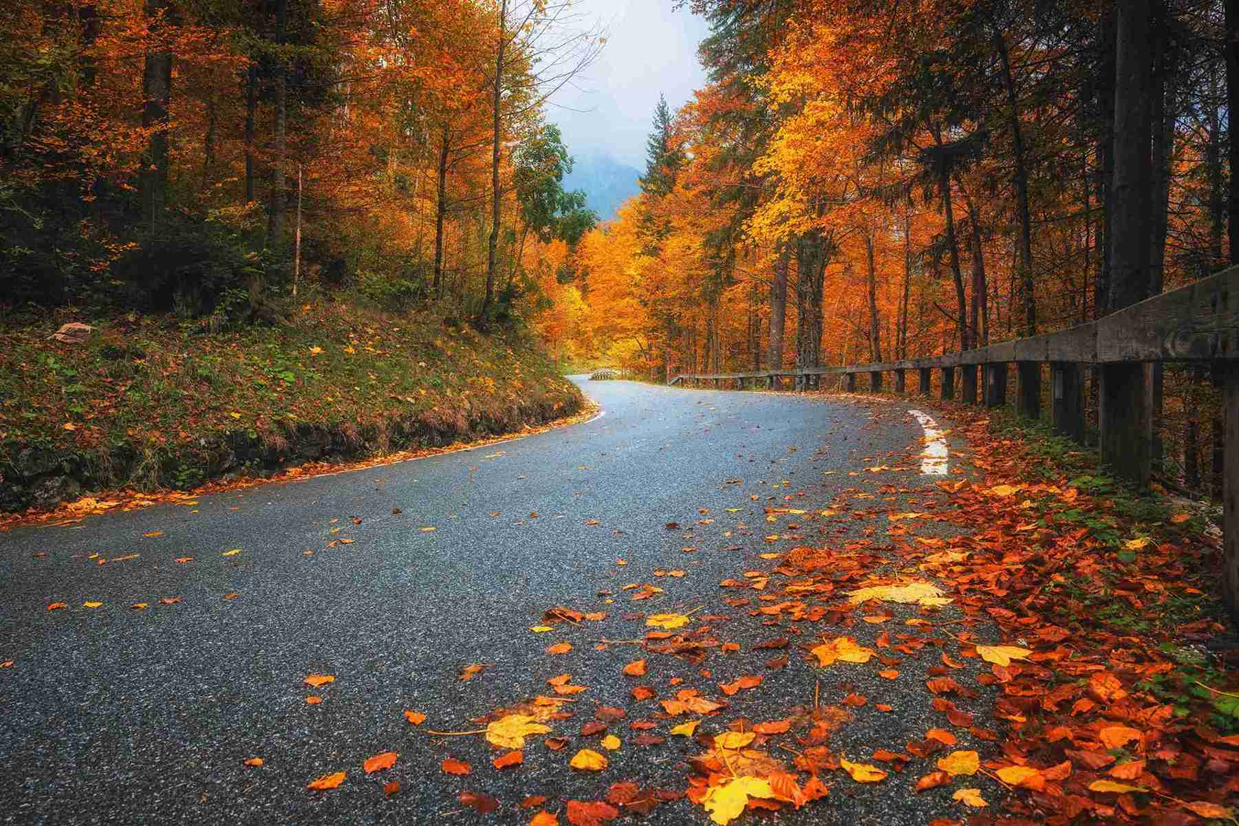 Four Fabulous Fall Color Drives in Northwest Arkansas
