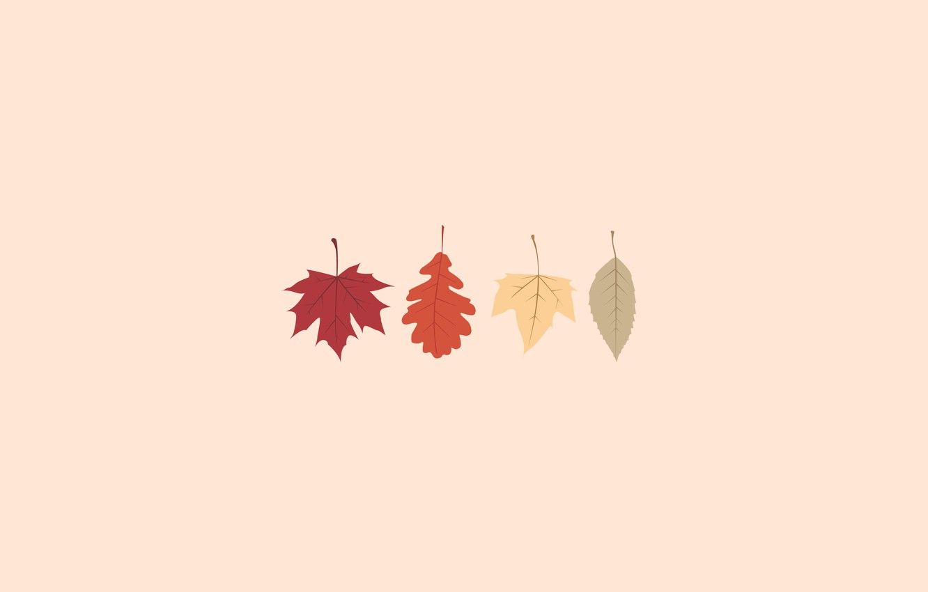 Fall Minimalist Wallpaper, HD Fall Minimalist Background on WallpaperBat