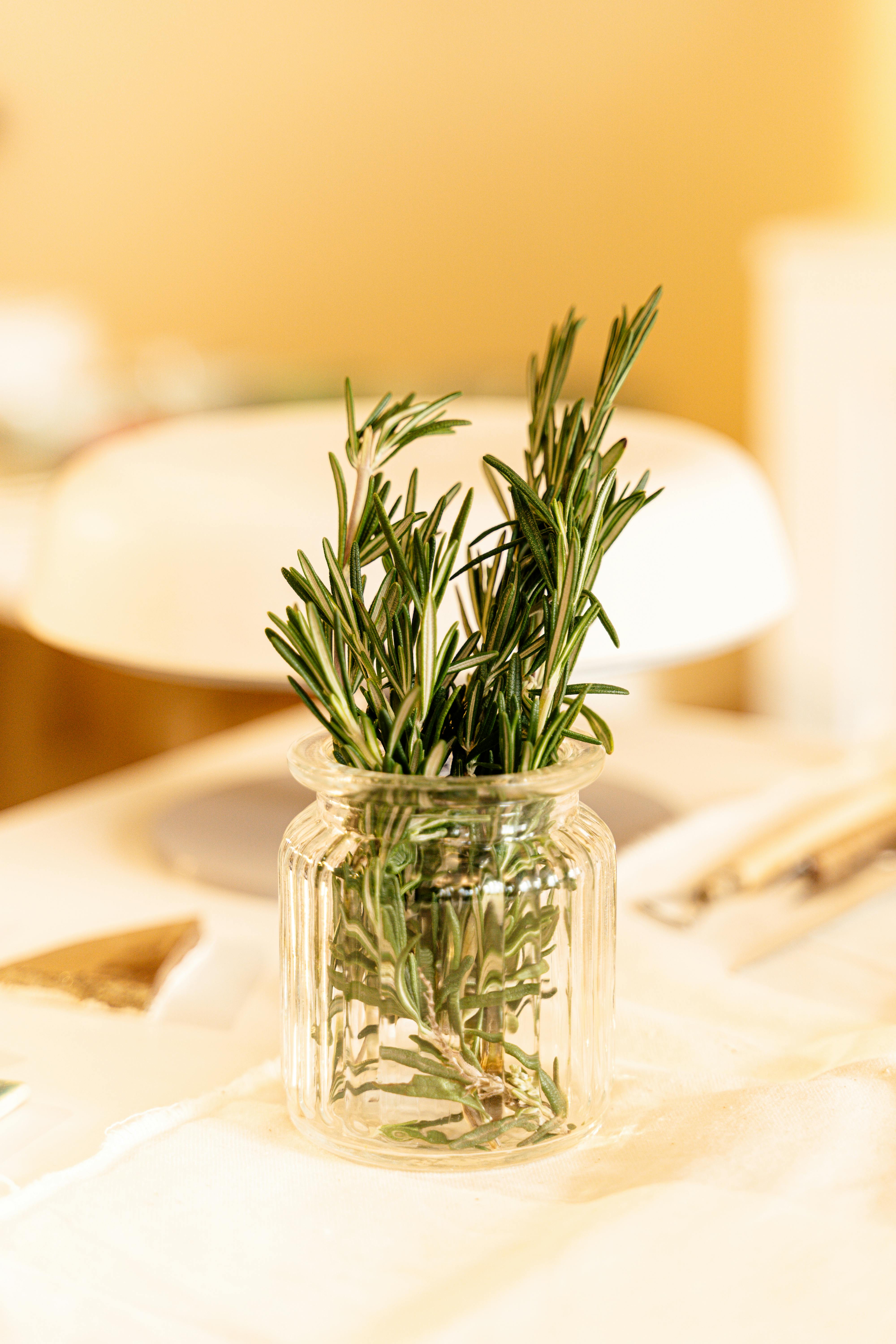 Rosemary Leaves in a Bottle · Free