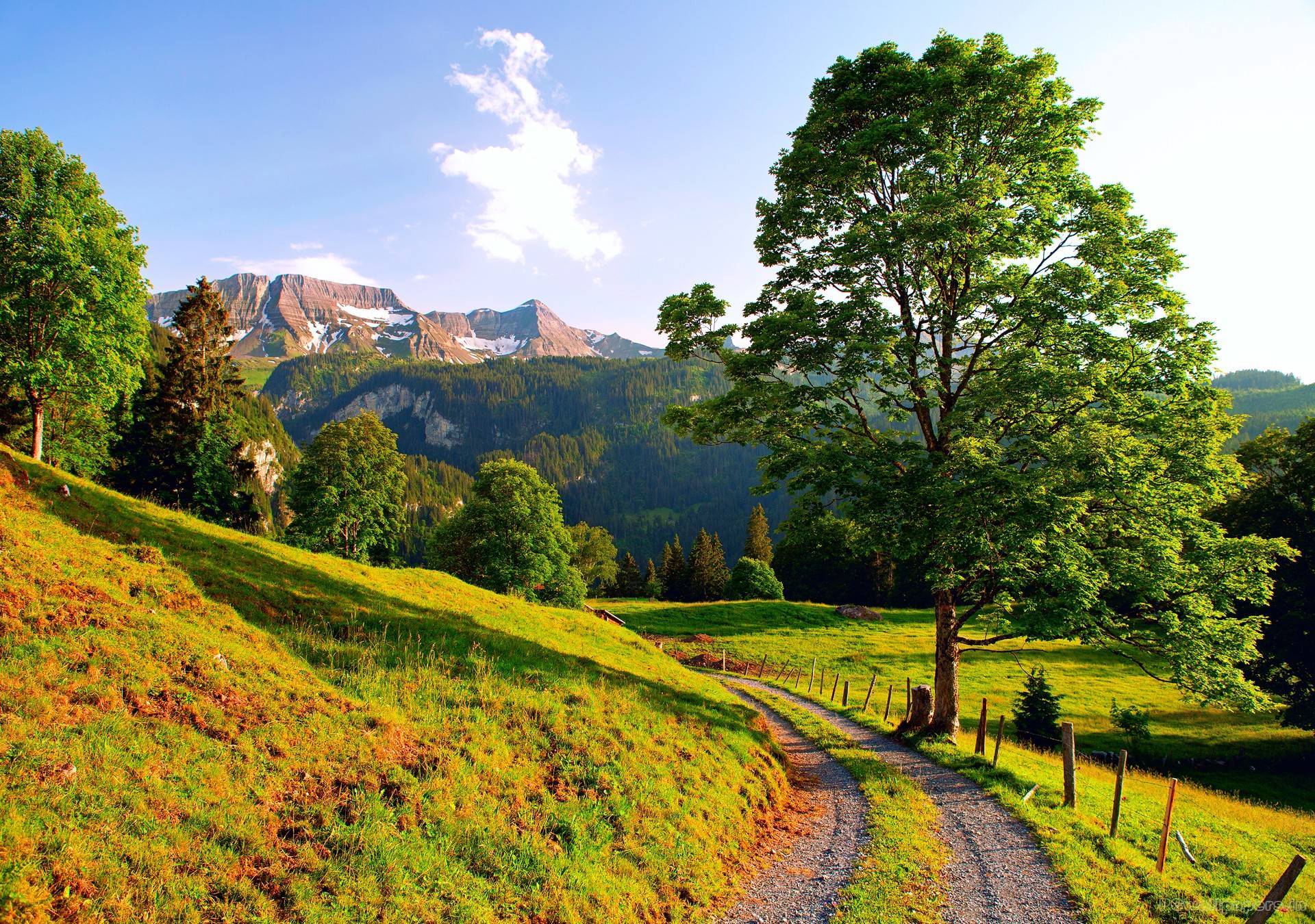 Summer Nature Wallpaper, HD Summer Nature Background on WallpaperBat