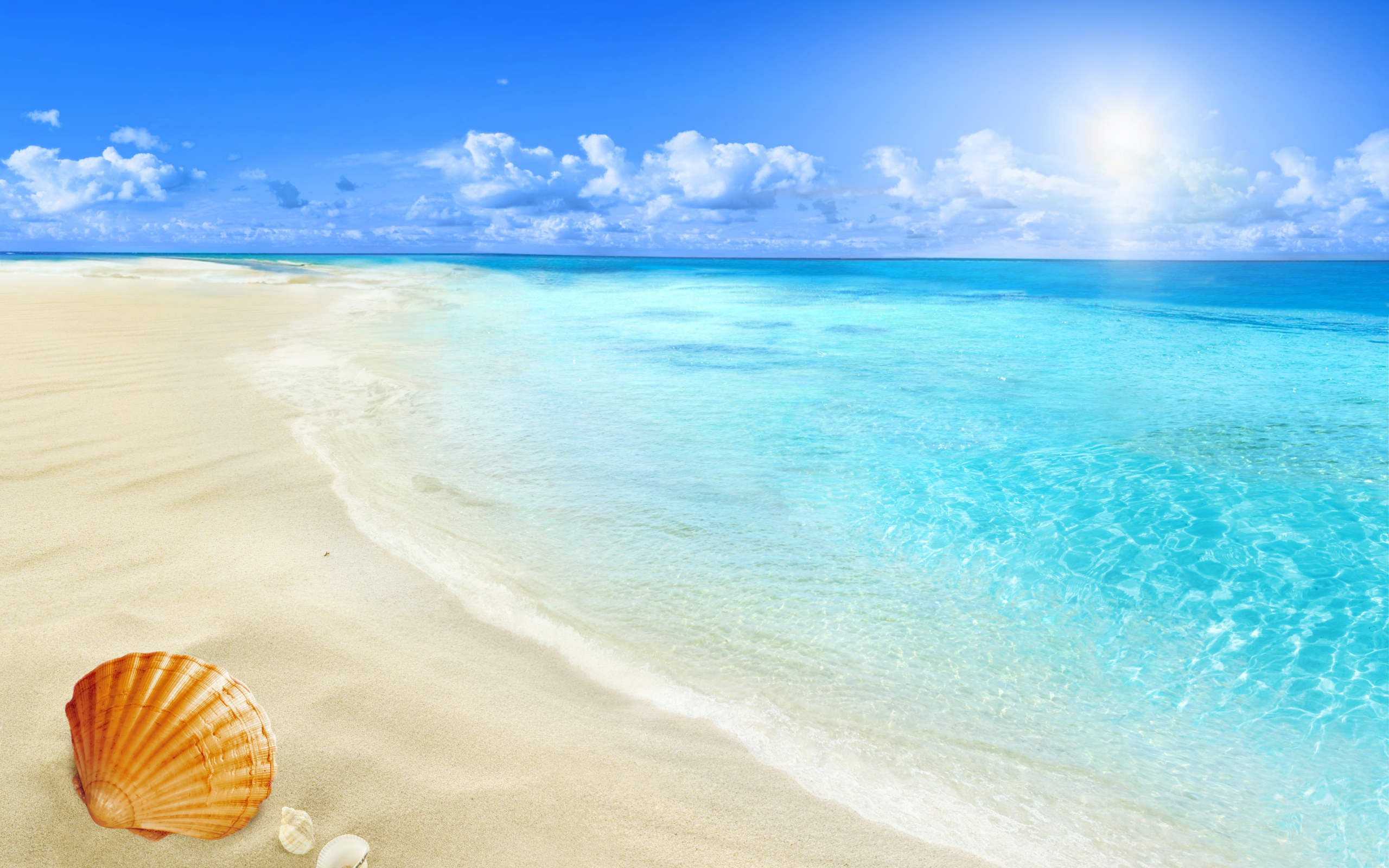 Clear blue ocean water on a white sand beach in summer Desktop wallpaper 2560x1600