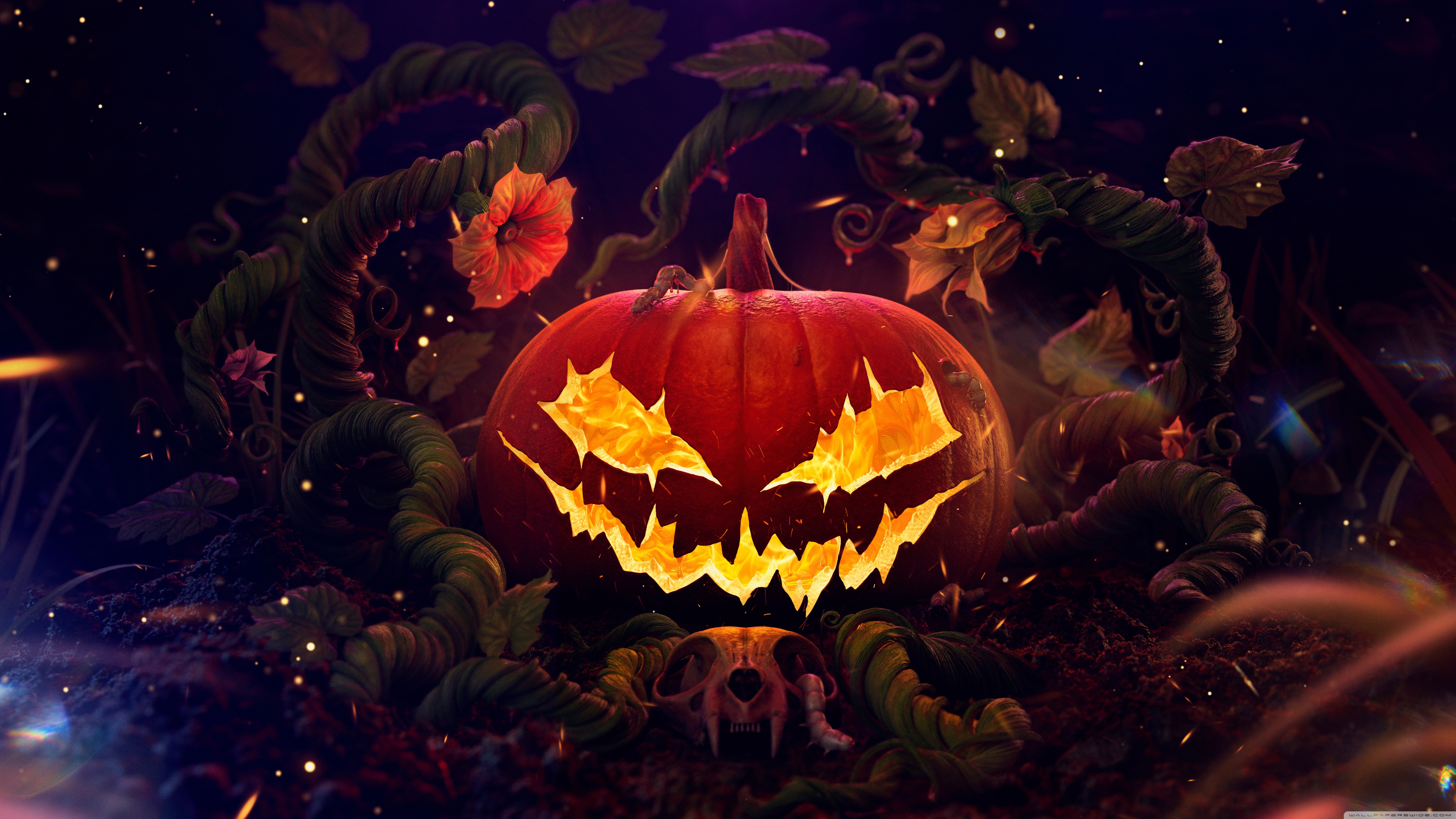 Halloween, Spooky Jack O Lantern 2024 4K UHD Wallpaper for UltraHD Desktop and TV, Widescreen and UltraWide Display, Smartphone and Tablet Devices