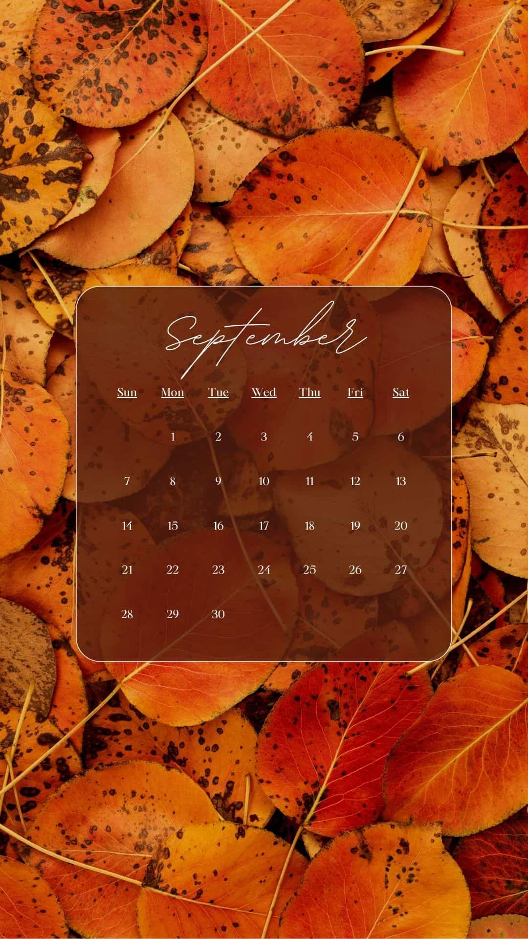Free Phone September Wallpaper Penny Pincher