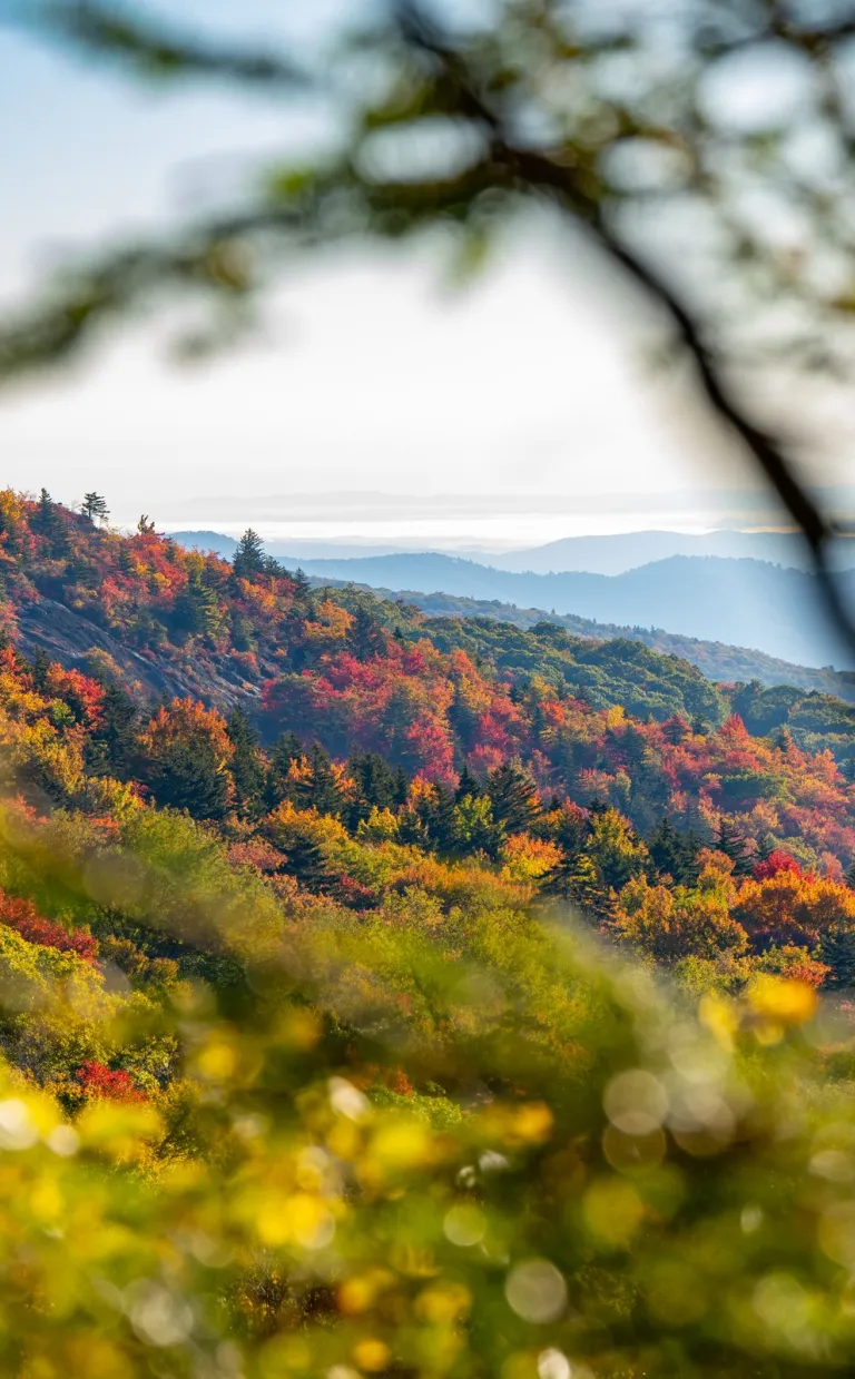 Explore Asheville. Things to Do, Events, & Hotels. Asheville, NC's Official Travel Site