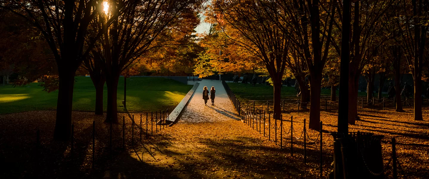 How to Make the Most of Fall in Washington, DC