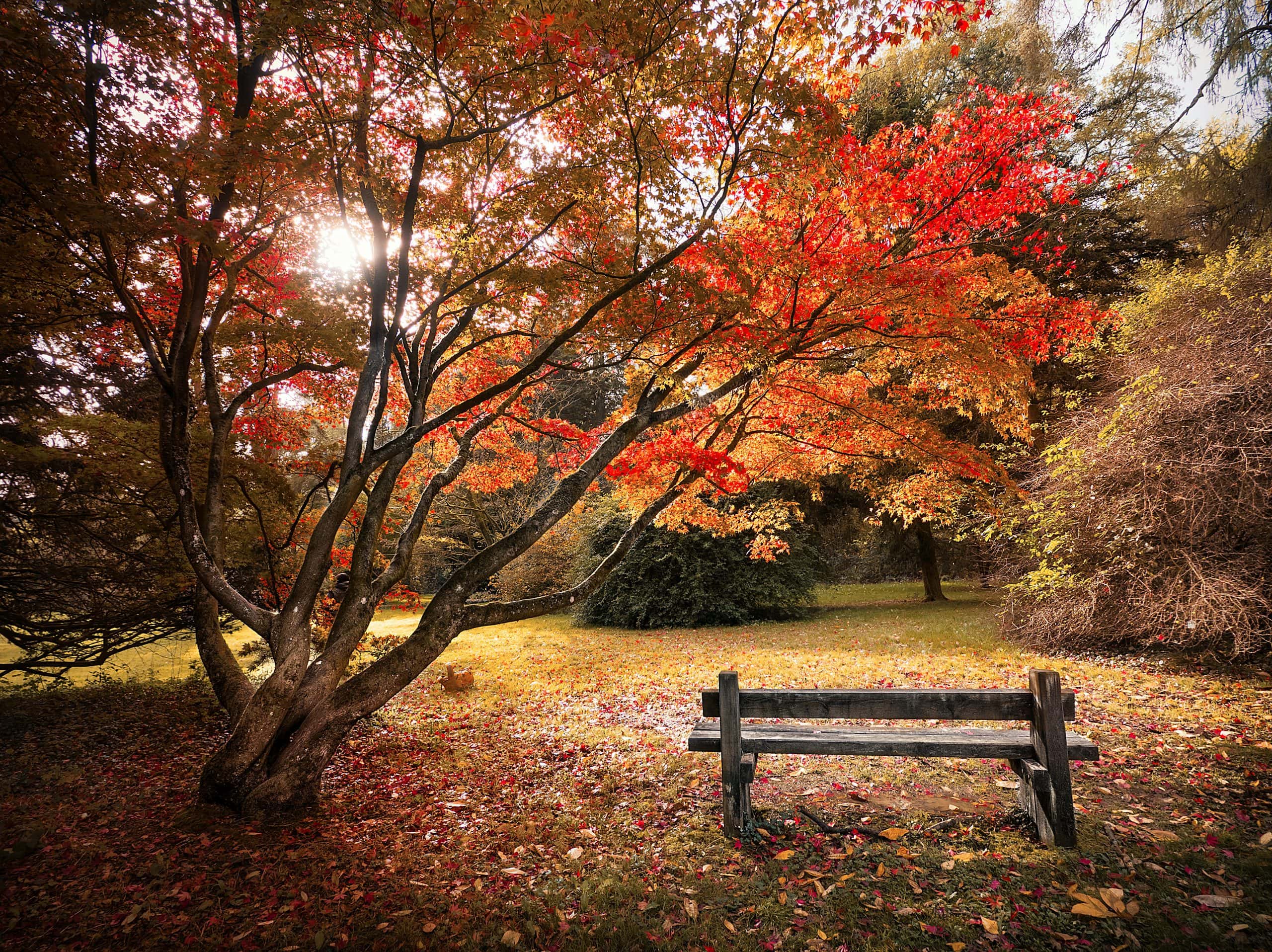 The Peril of Monopoly in the Autumn Pennywood Tours