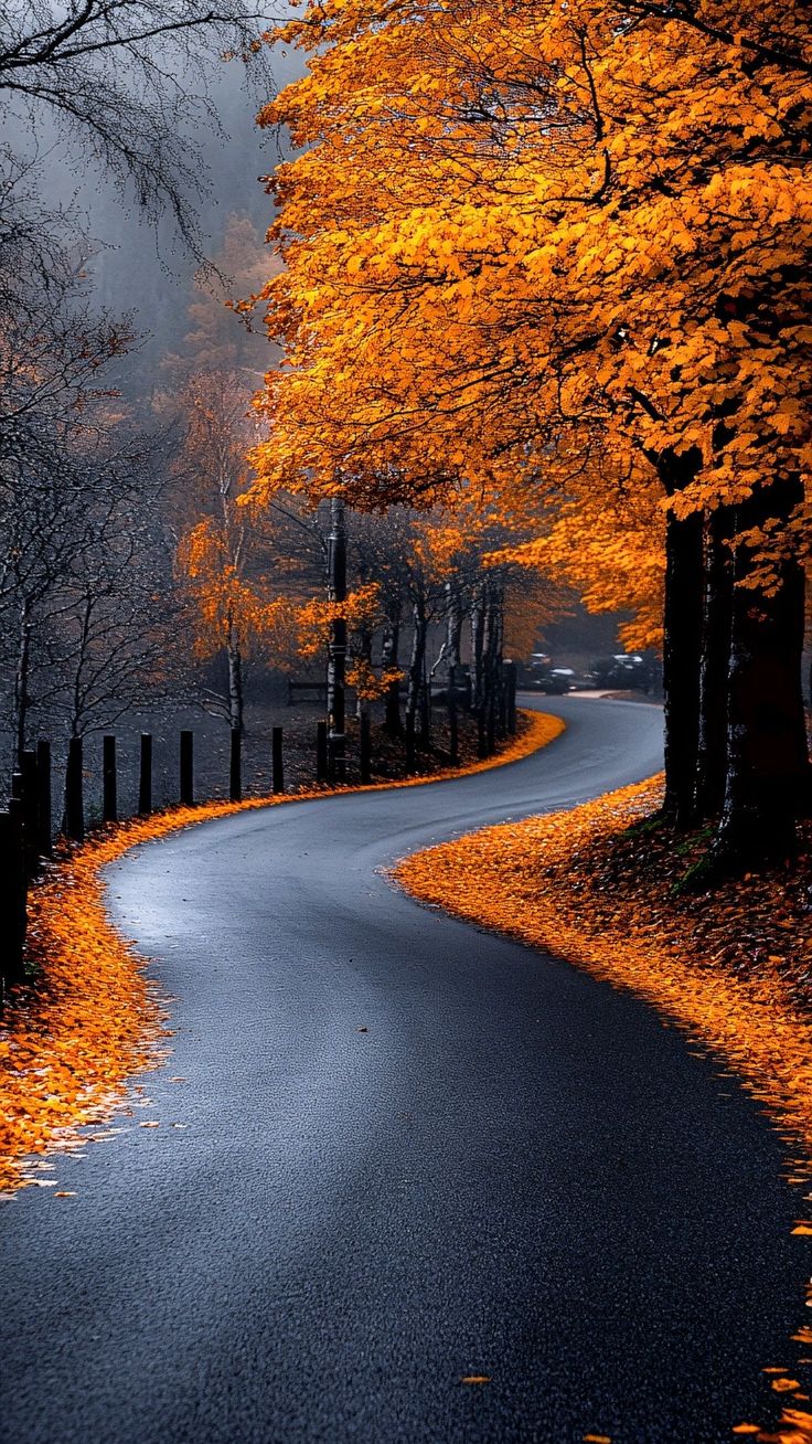 Phone Wallpaper. Beautiful scenery photography, Beautiful landscapes, Beautiful landscape wallpaper