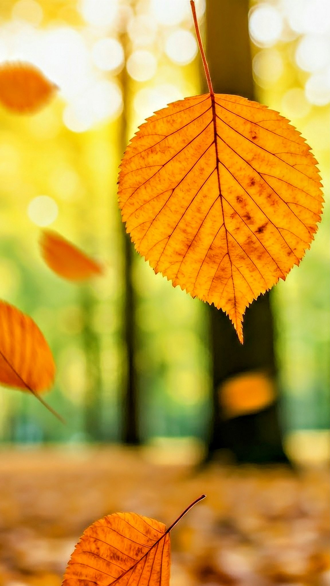 NekoPixels some vibrant autumn vibes