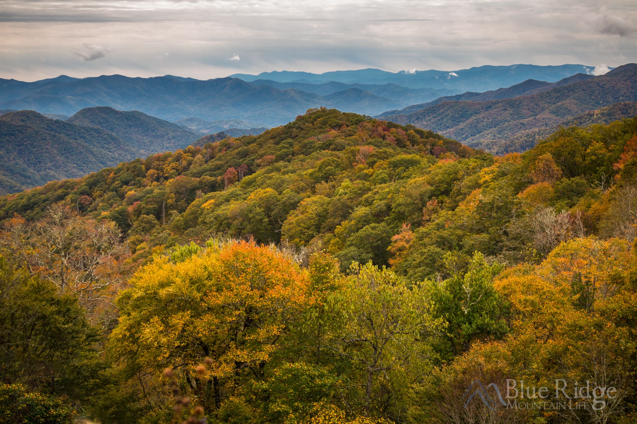 Fall Color and Foliage Guide for 2025