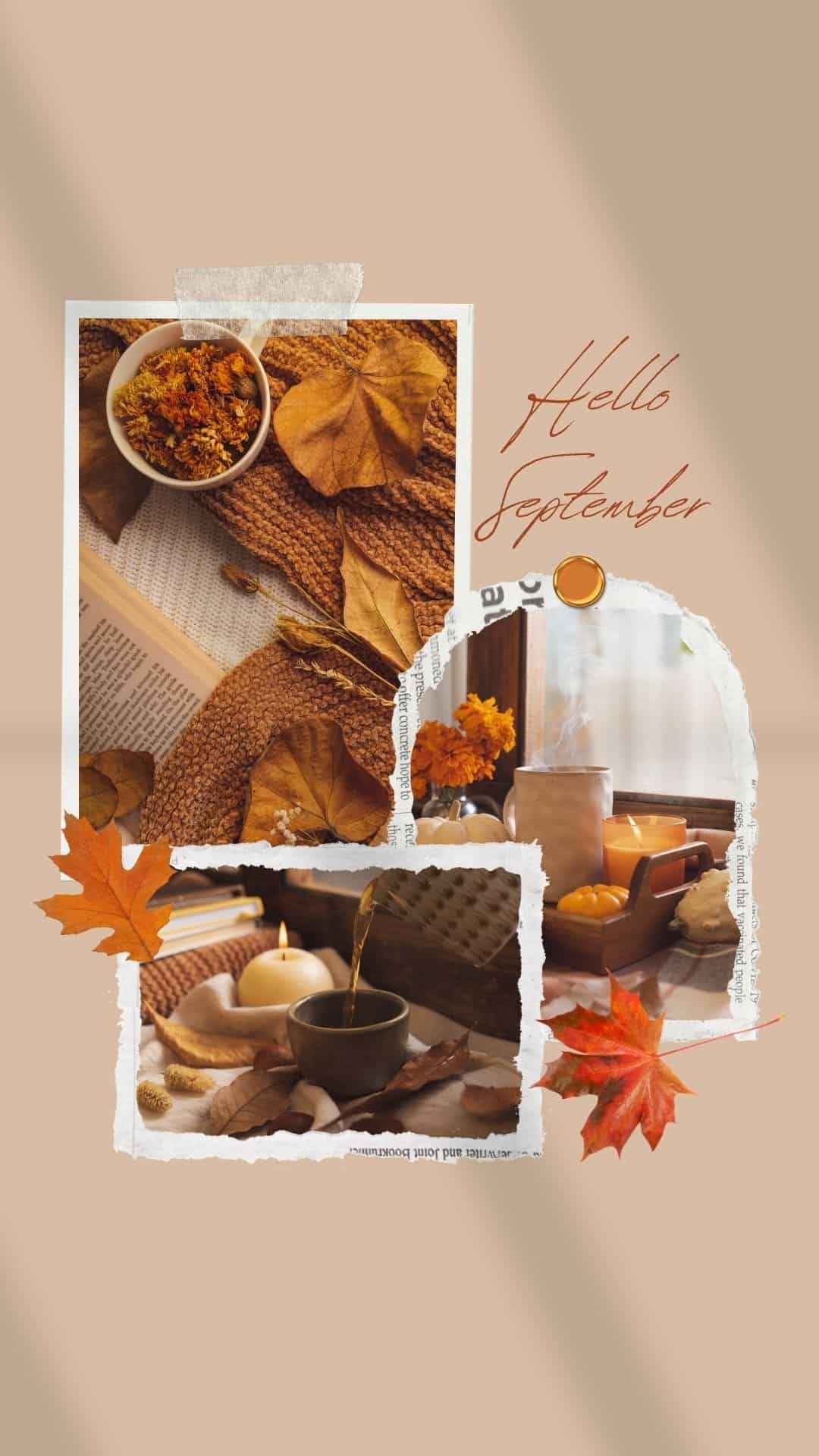 Free Phone September Wallpaper Penny Pincher
