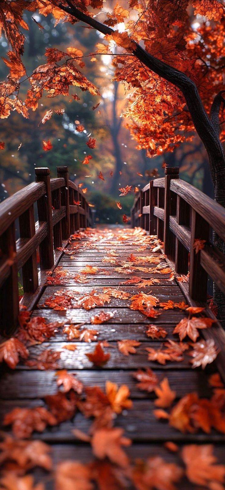 Beautiful landscape wallpaper, Fall picture, Beautiful wallpaper background