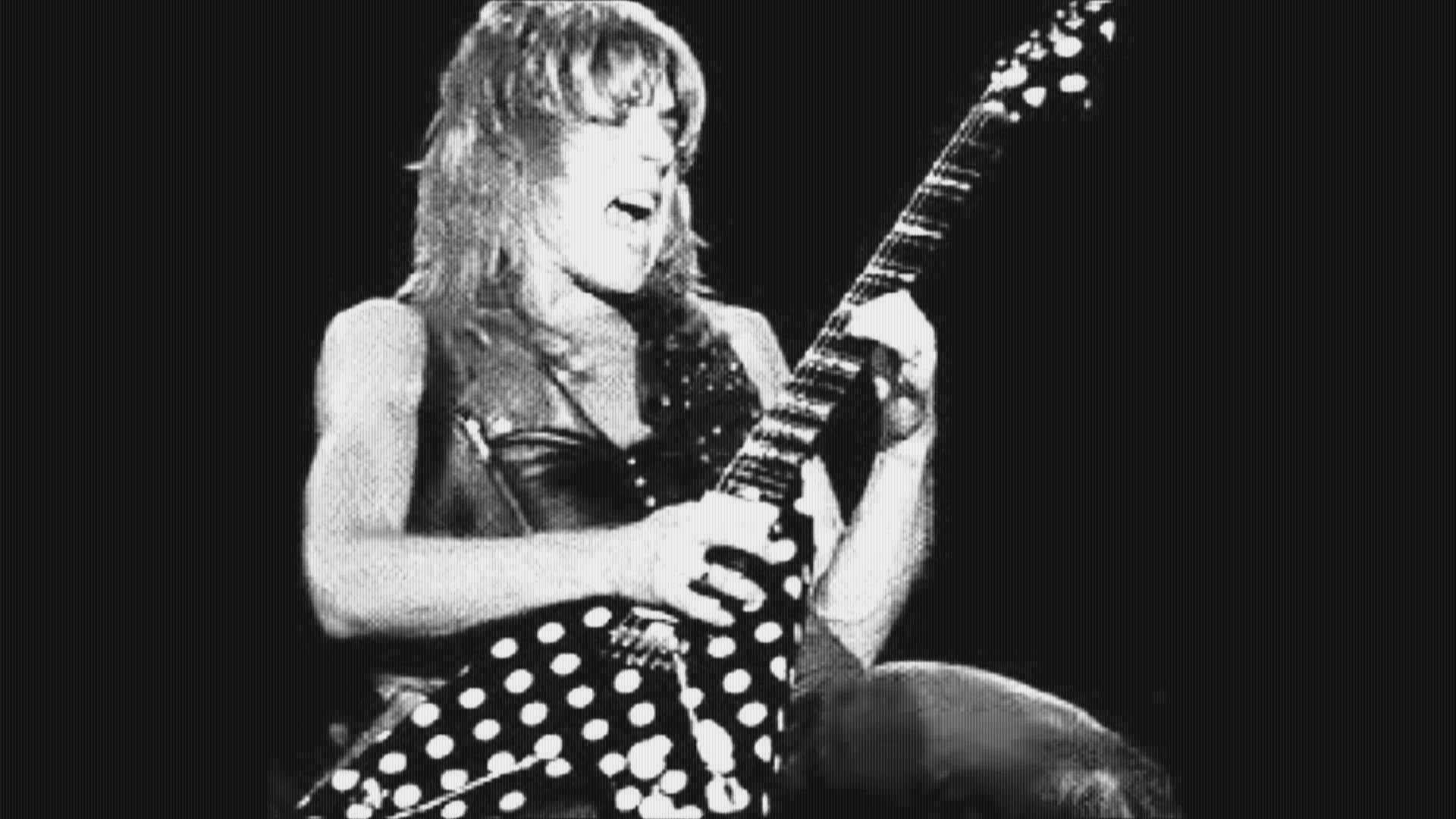 randy rhoads, Ozzy, Osbourne, Heavy, Metal, Randy, Rhoads, Guitar, Concert Wallpaper HD / Desktop and Mobile Background