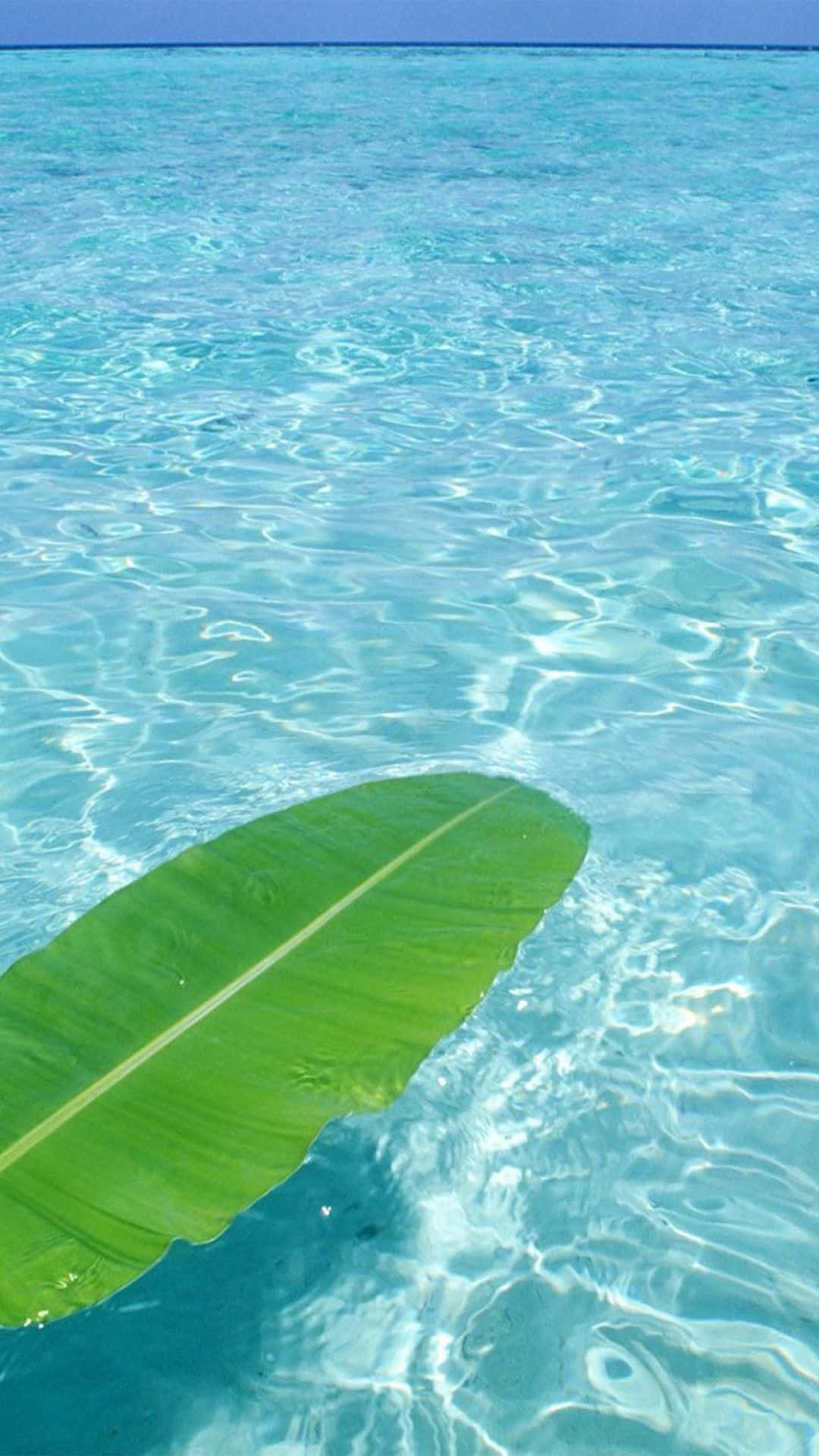 Download Enjoy the beauty of Hawaii with your iPhone Wallpaper