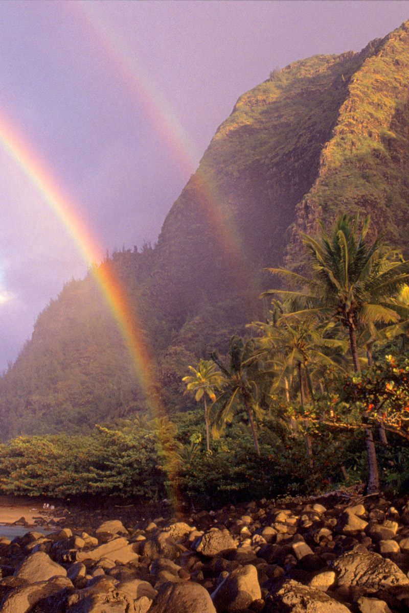 Download Wallpaper 800x1200 Rainbow, Sky, Stones, Clouds, Palm Trees, Coast, Hawaii Iphone 4s 4 For Parallax HD Background