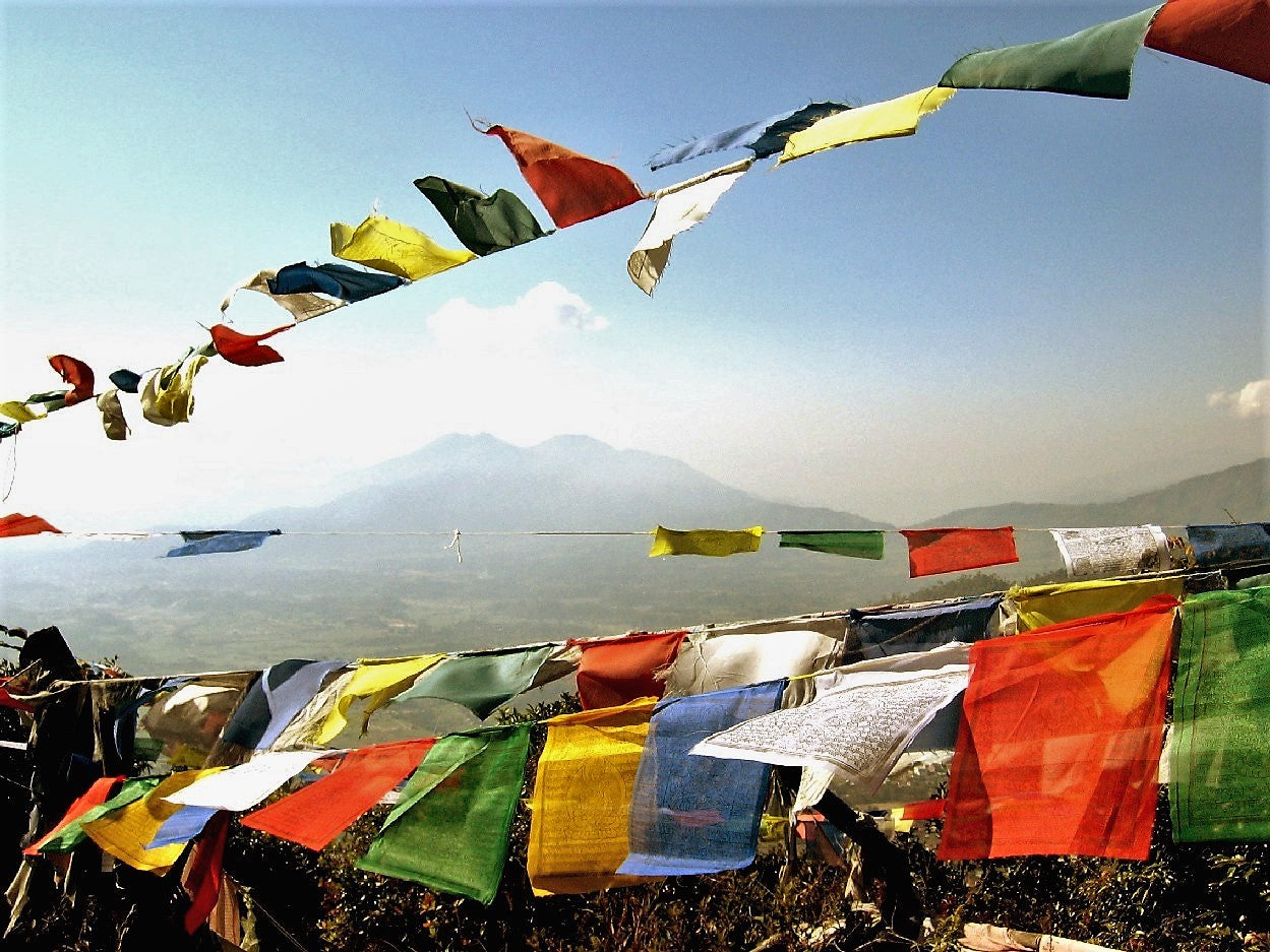 Large White Parasol Prayer Flag, 32x34cm, 8.2m