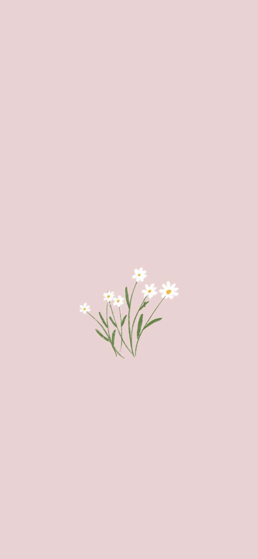 Download Captivating Floral Phone Background