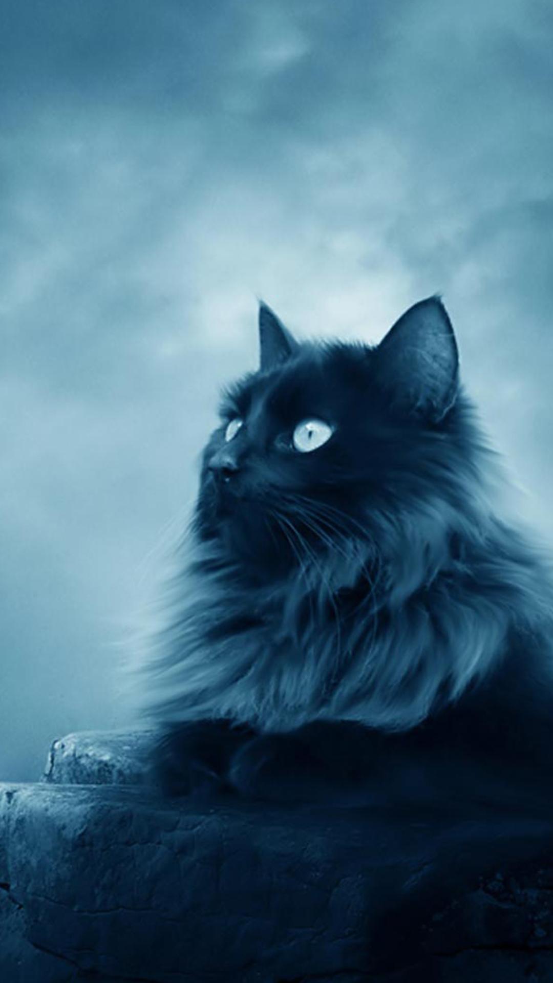 Cats Wallpaper 2017 APK for Android Download