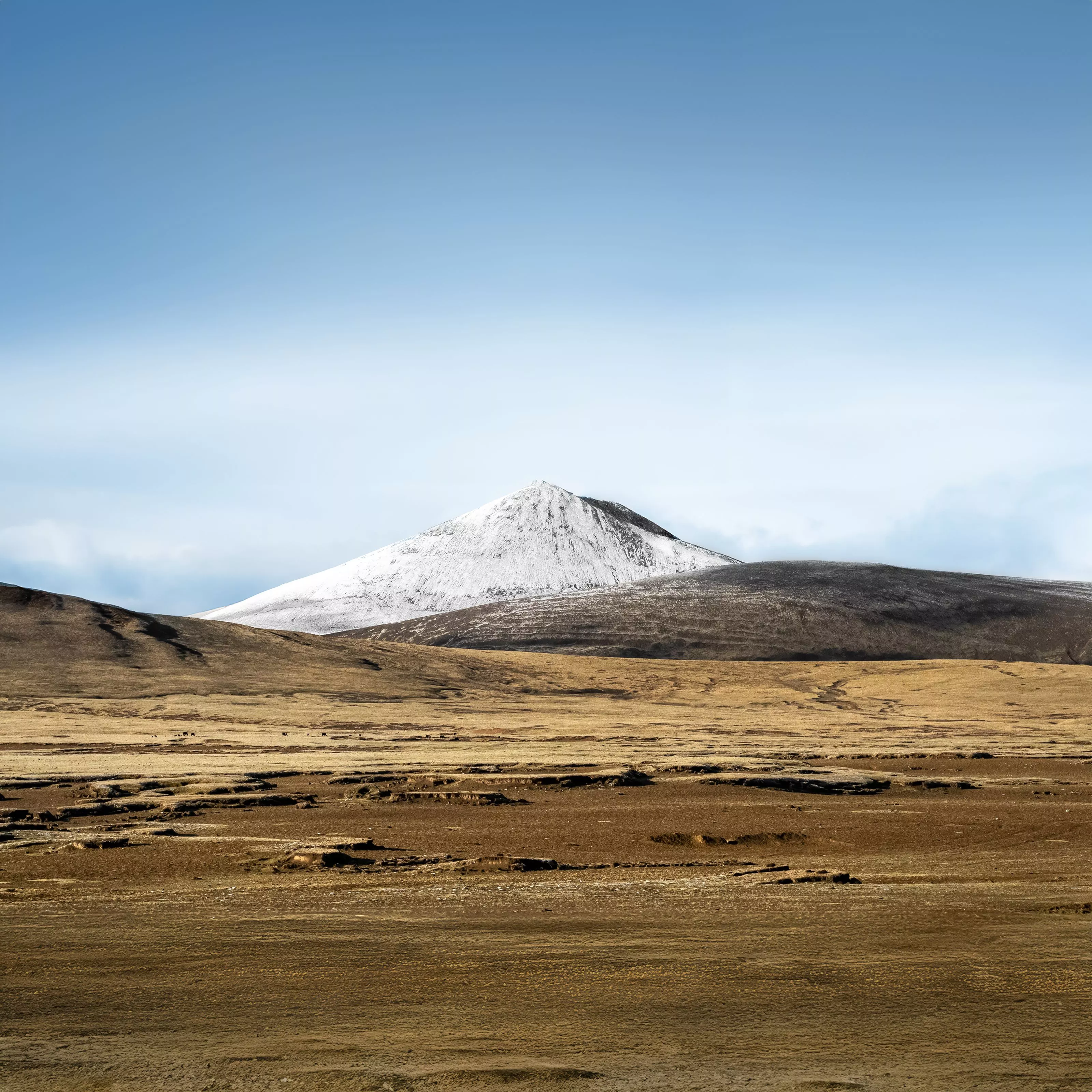 Vivo Pad SE wallpaper