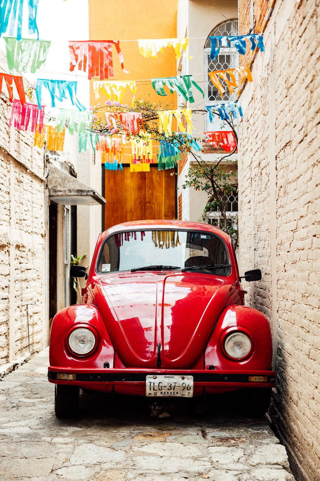 El Vocho de Oaxaca, Erica Connolly Photography