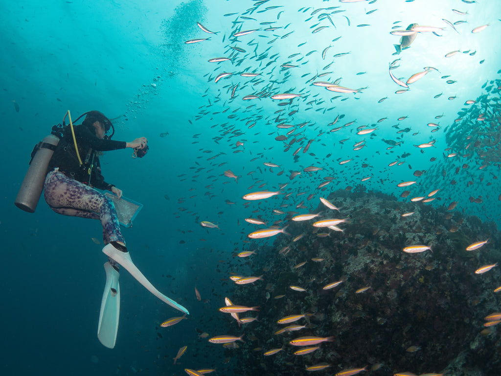 Ko Tao Wallpapers Wallpaper Cave ko-tao-wallpapers-wallpaper-cave