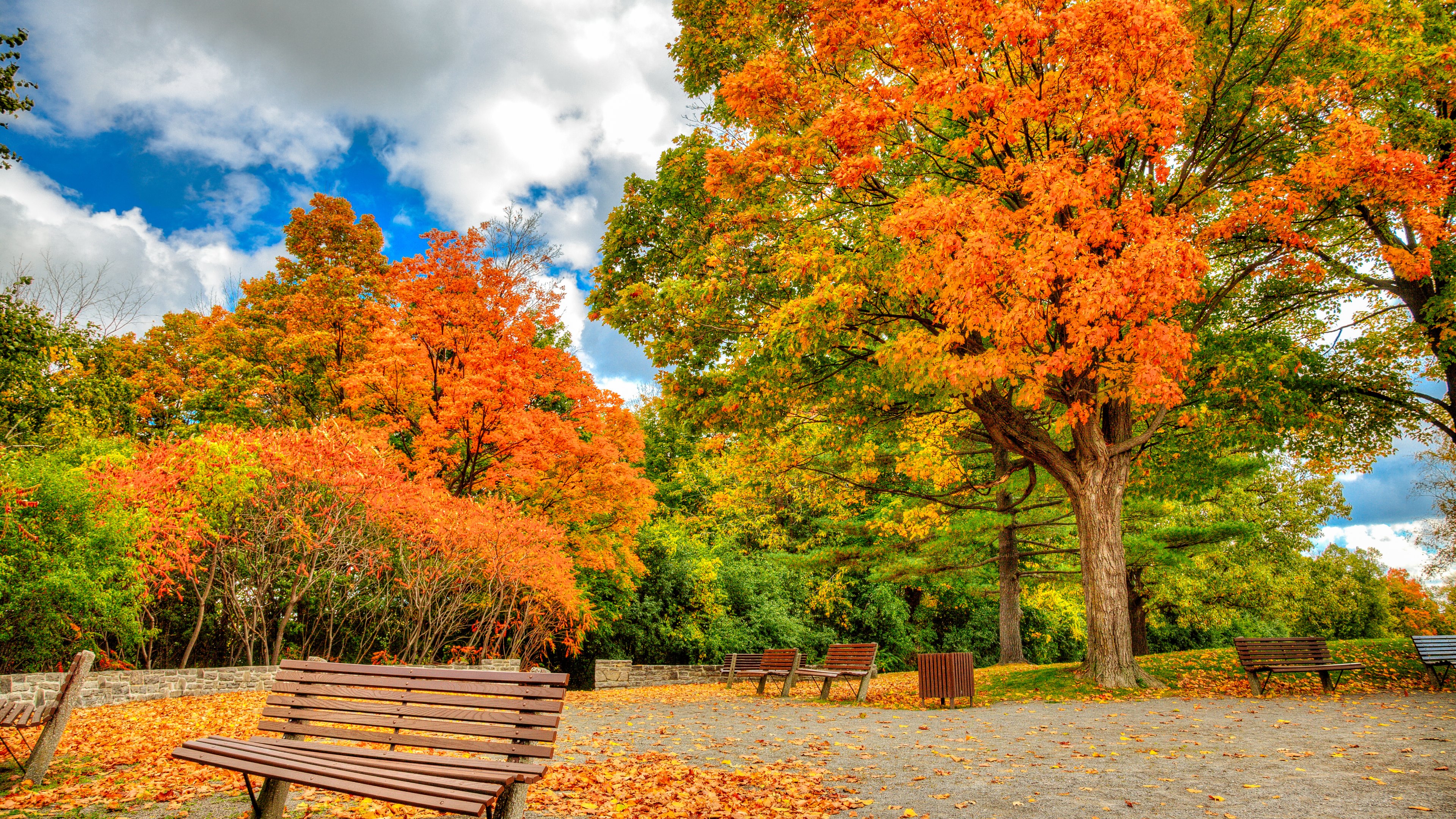 Autumn Serenity: A 4K Ultra HD Wallpaper of Fall Colors in the Park