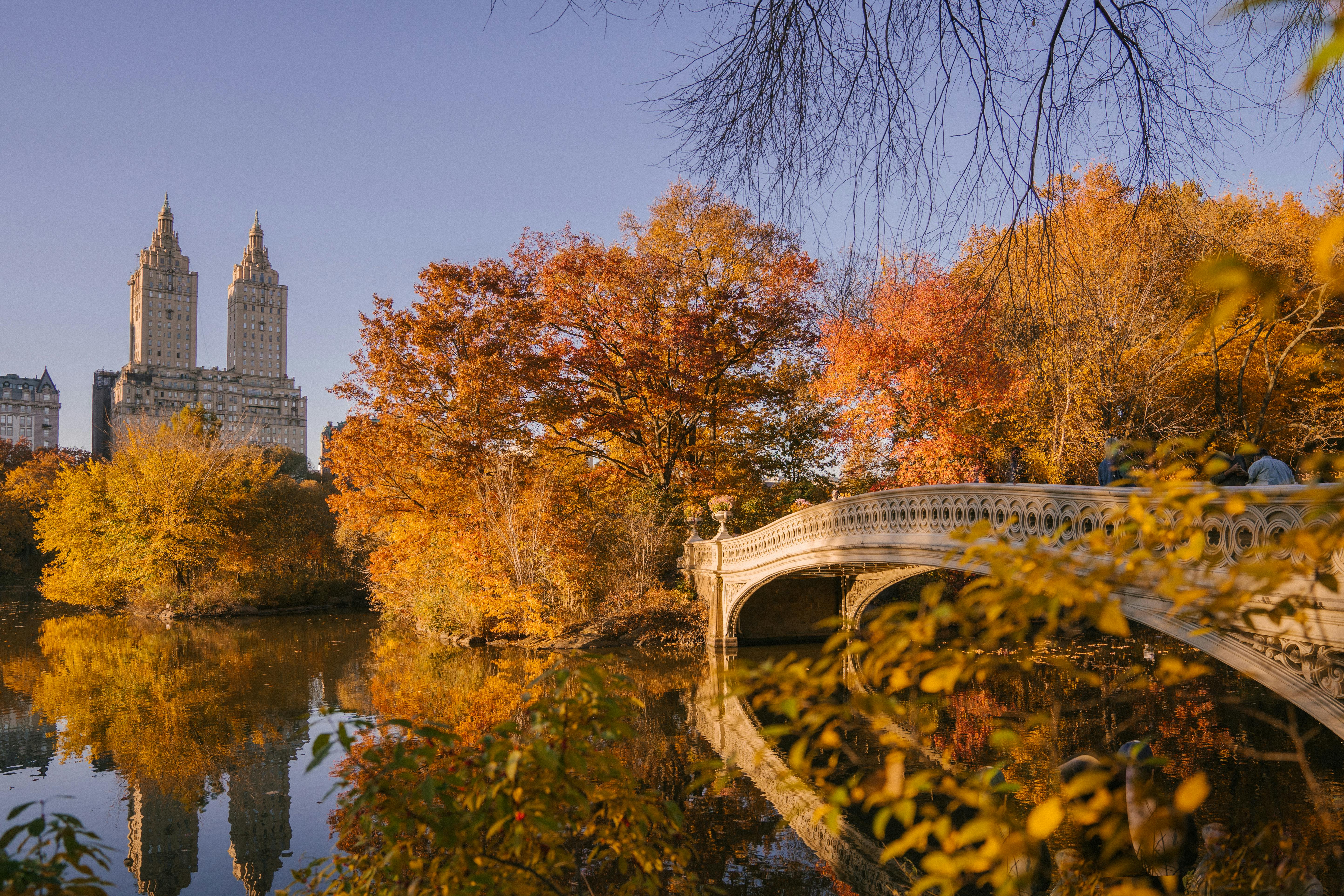 Bow Bridge crossing calm lake in autumn park · Free