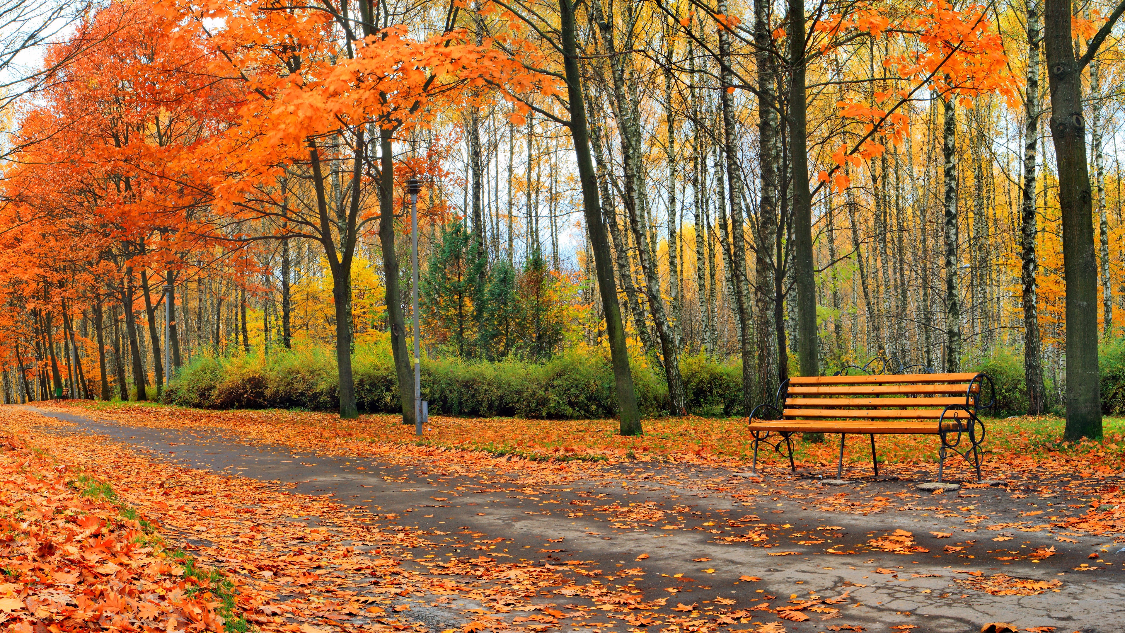 Wallpaper Beautiful autumn park, trees, leaves, bench 3840x2160 UHD 4K Picture, Image