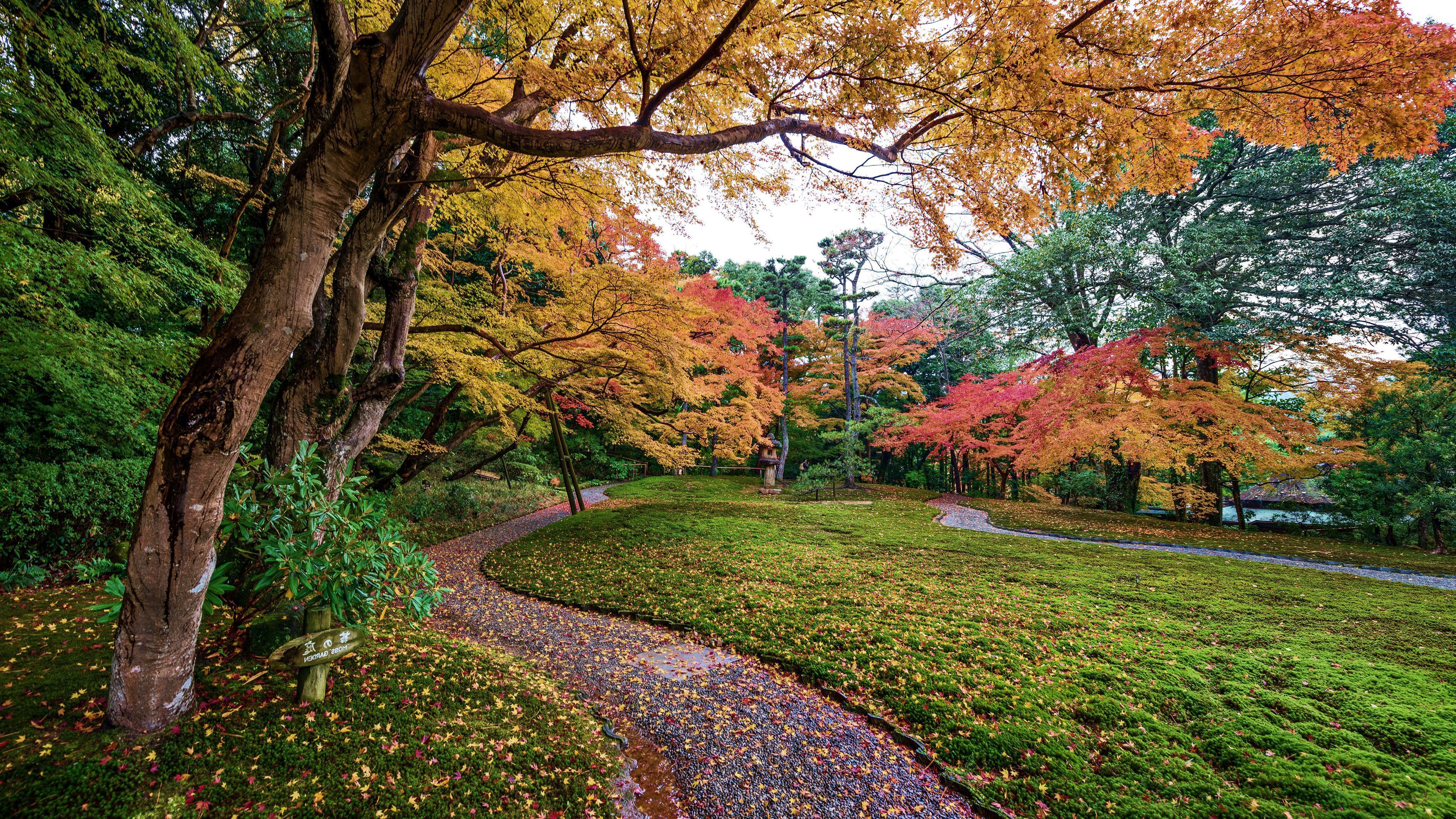 Autumn in the park [3] wallpaper wallpaper