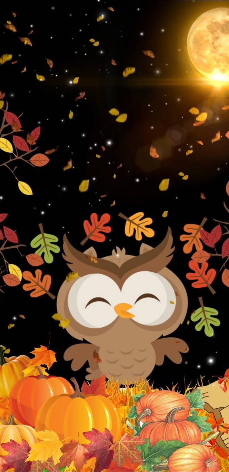 Cute Owl Wallpaper for Halloween and Thanksgiving