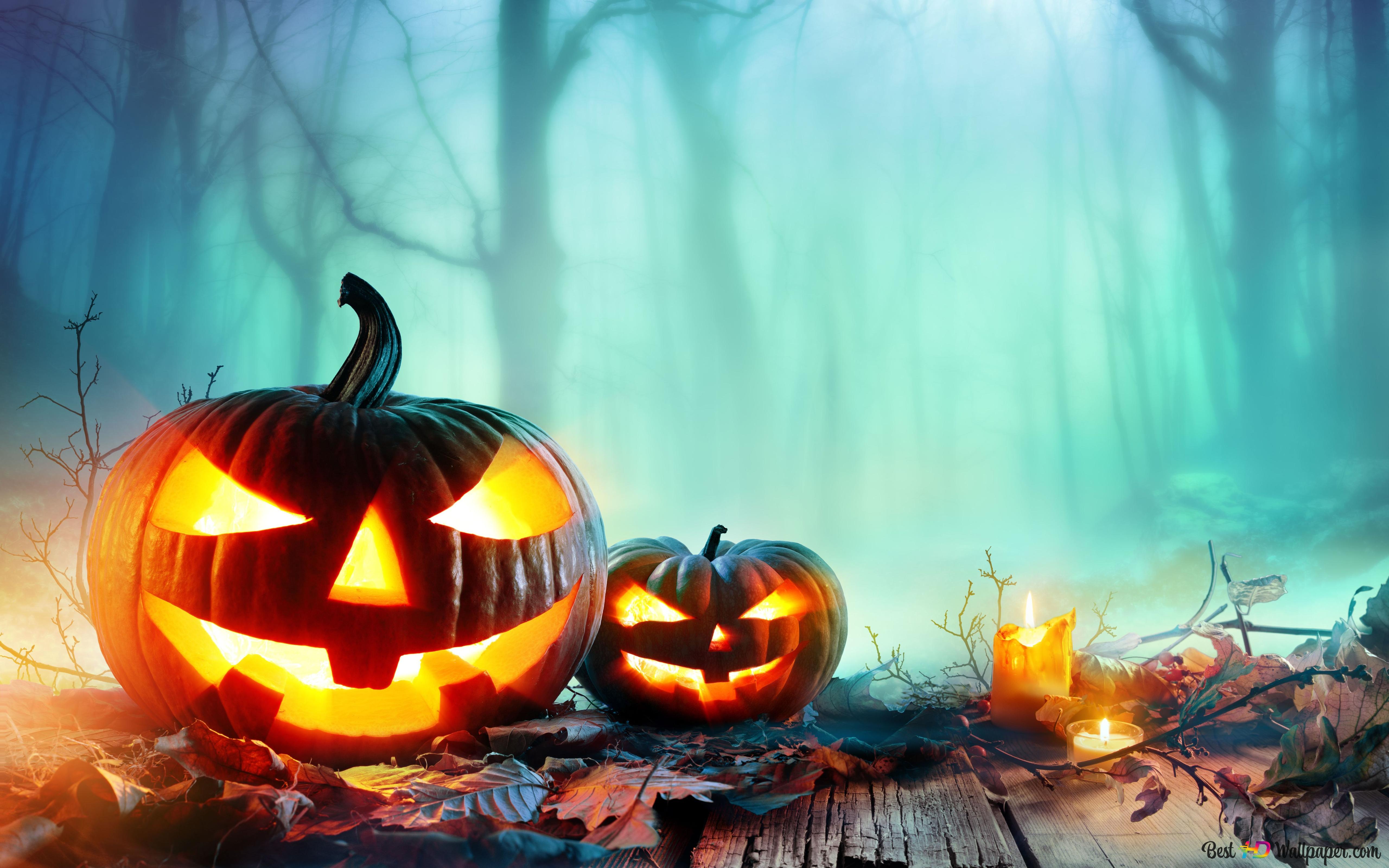 Pumpkin and candle in the halloween forest 8K wallpaper download