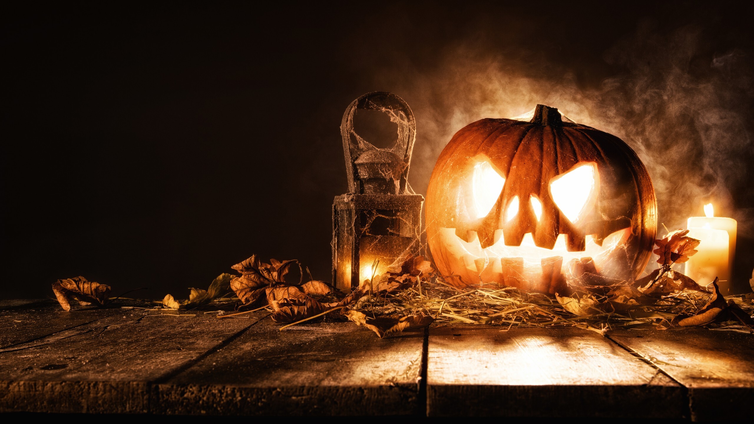 Celebration Halloween HD Wallpaperx1440 resolution wallpaper
