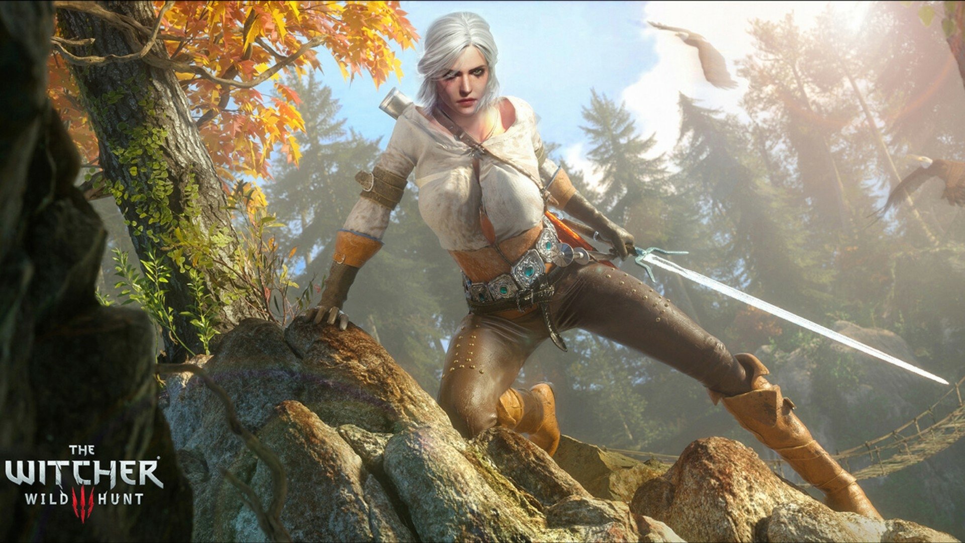 Ciri from The Witcher 3: Wild Hunt