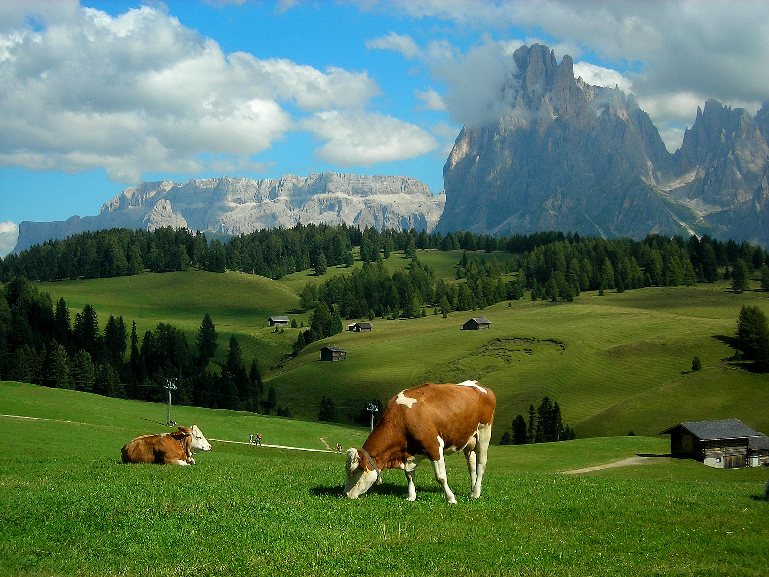 alps, Meadows, Hills, Mountains, Cows, Landscape, Rustic, Farm Wallpaper HD / Desktop and Mobile Background