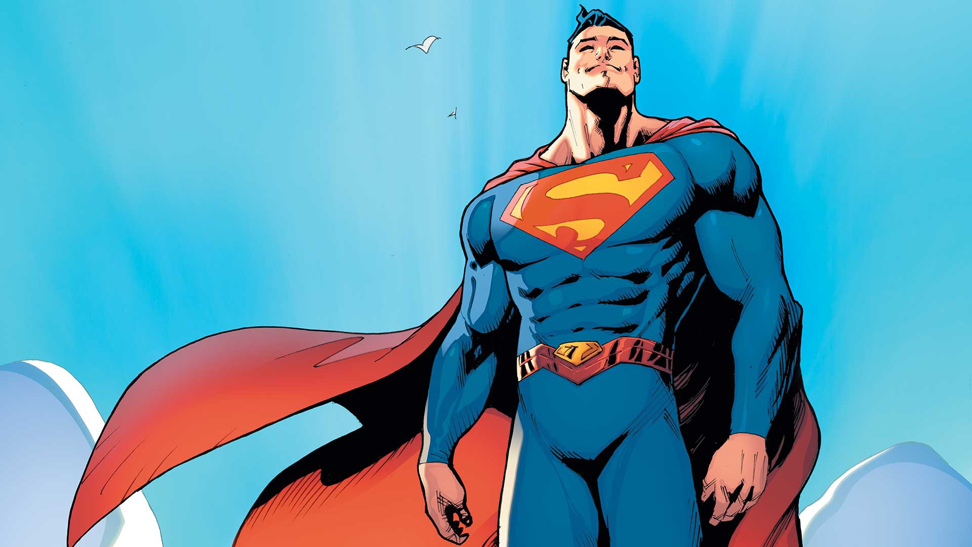 Wallpaper Birds, Costume, Belt, Hero, Superman, Comic, Cloak, Sky for mobile and desktop, section фантастика, resolution 1920x1080