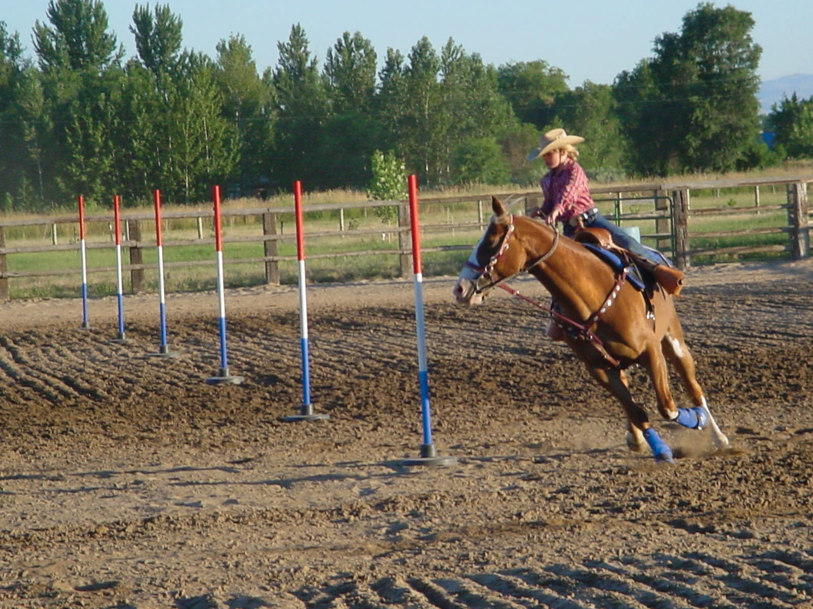 PBP 6: Pole Bending Poles Set Of Six