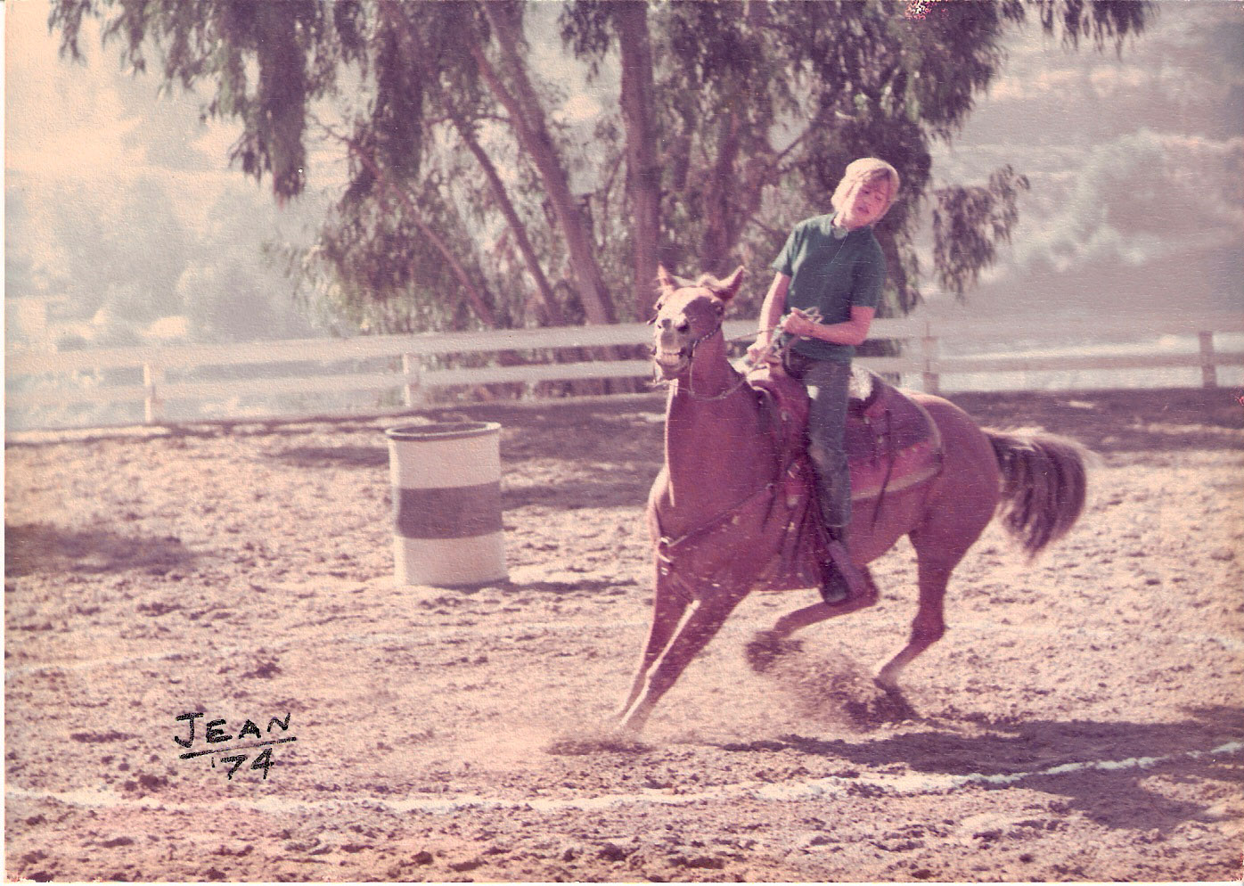 Her Surprising Claim to Fame! Meet Office Manager Susan Scheide. Compass Capital Corporation